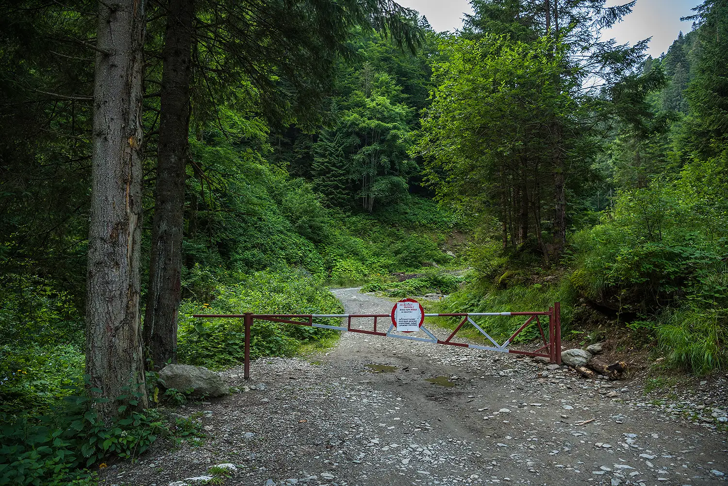 Munții Făgărașului