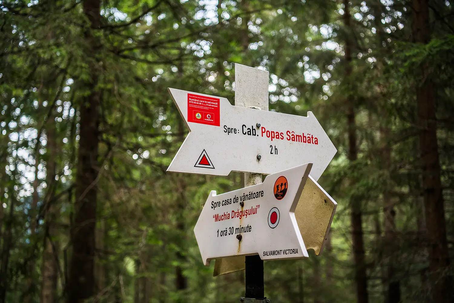 Munții Făgărașului