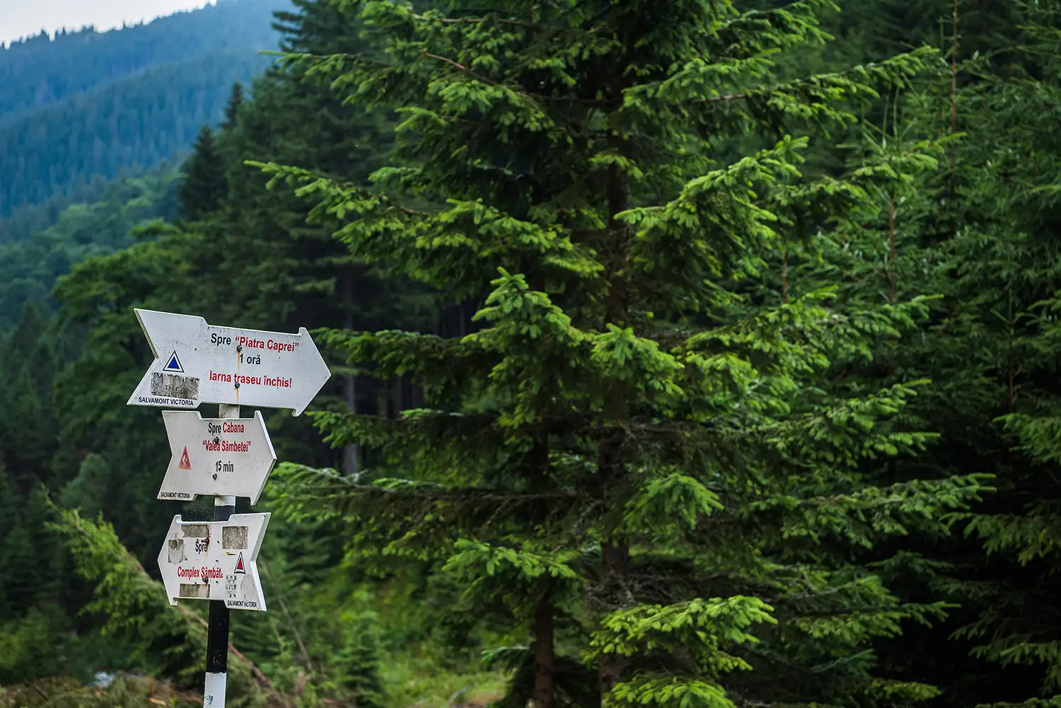 Munții Făgărașului