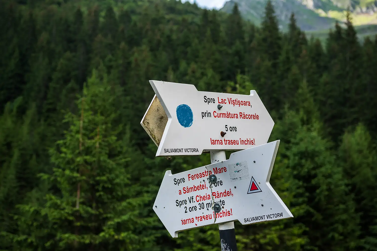 Munții Făgărașului