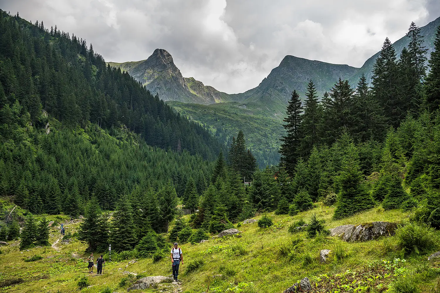 Munții Făgărașului