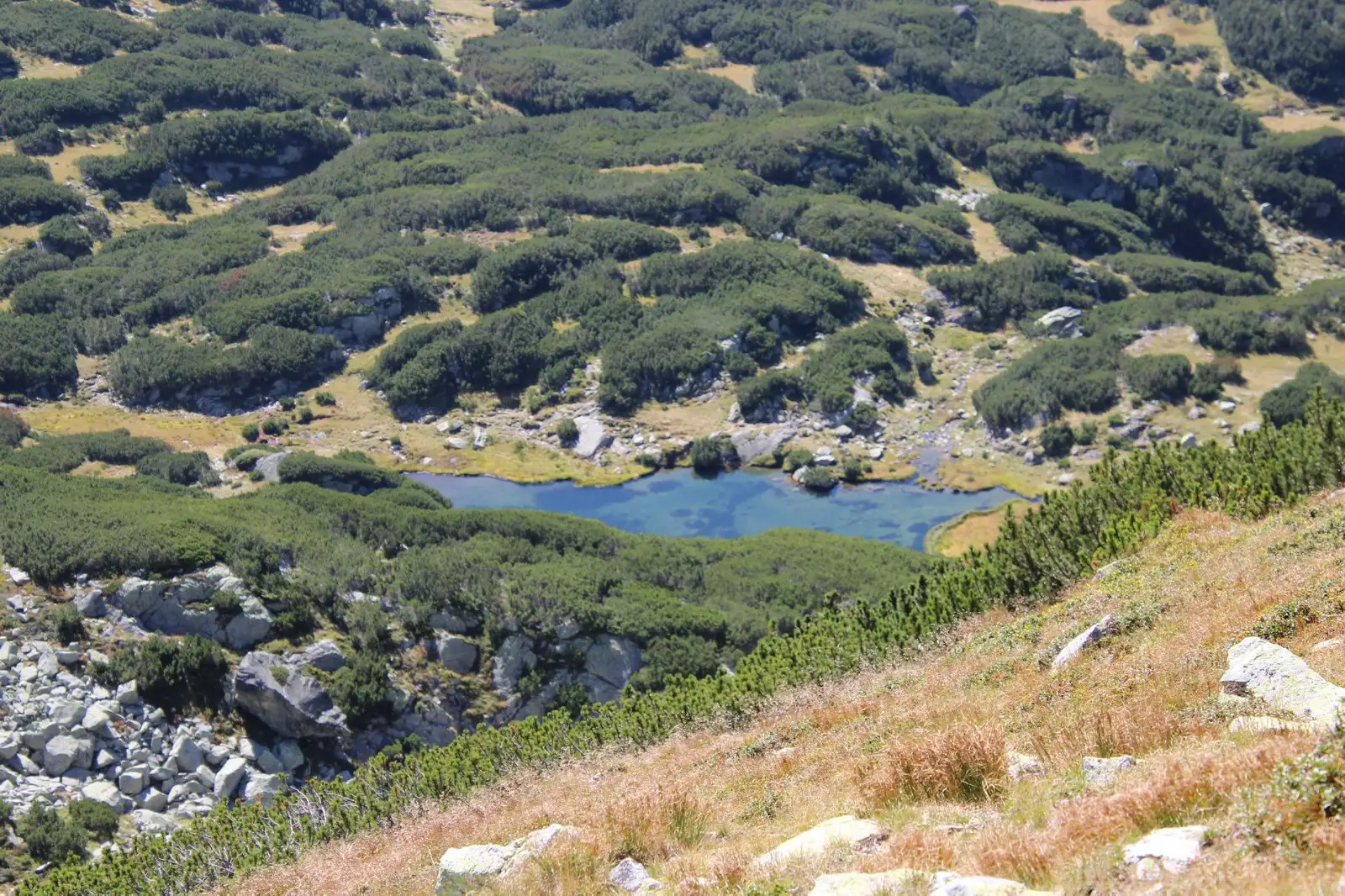  lacul Caprelor - Stefan Filip