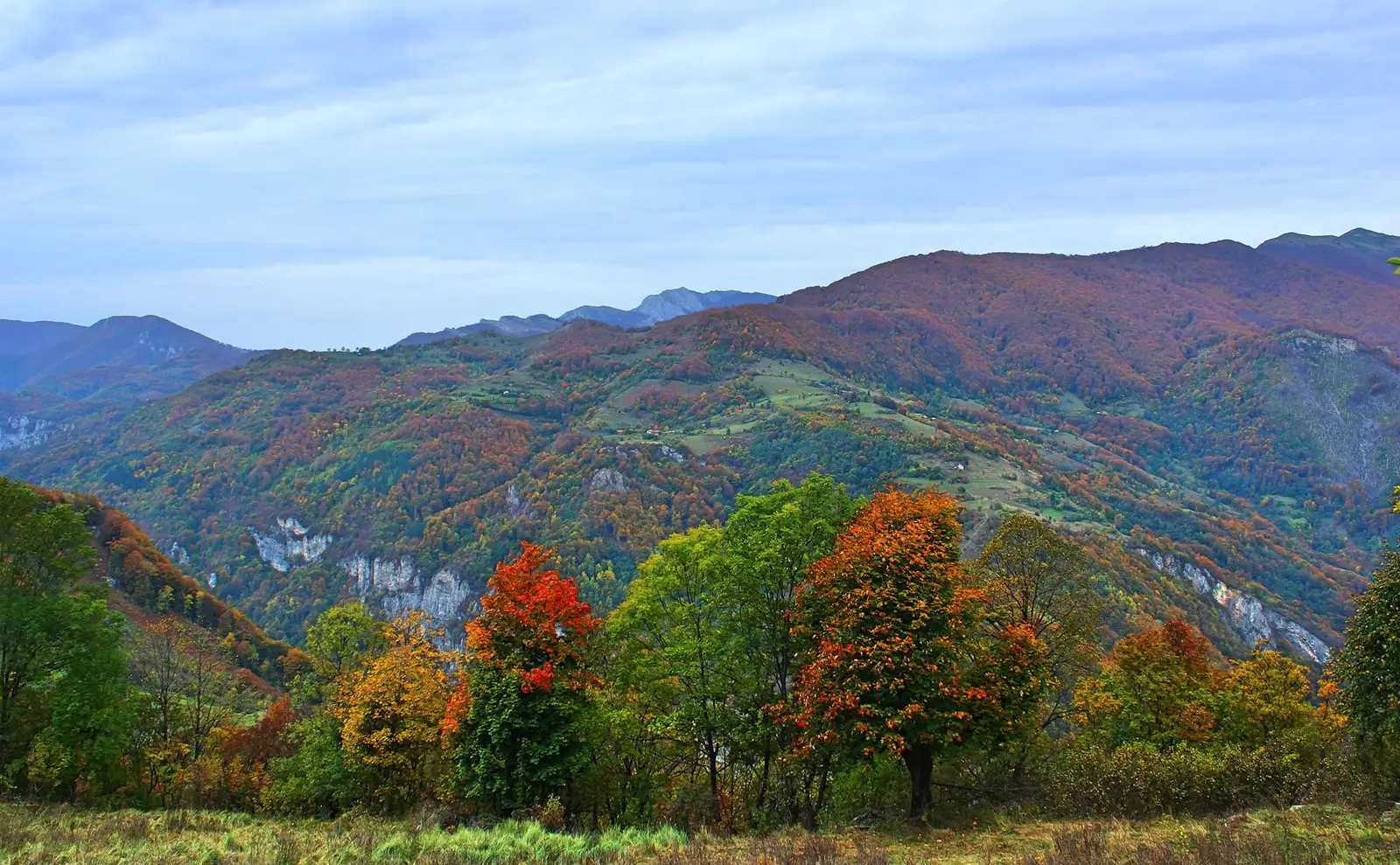  Vedere spre Ineleţ, cătunul izolat din munţii Cernei - Sima Constantin