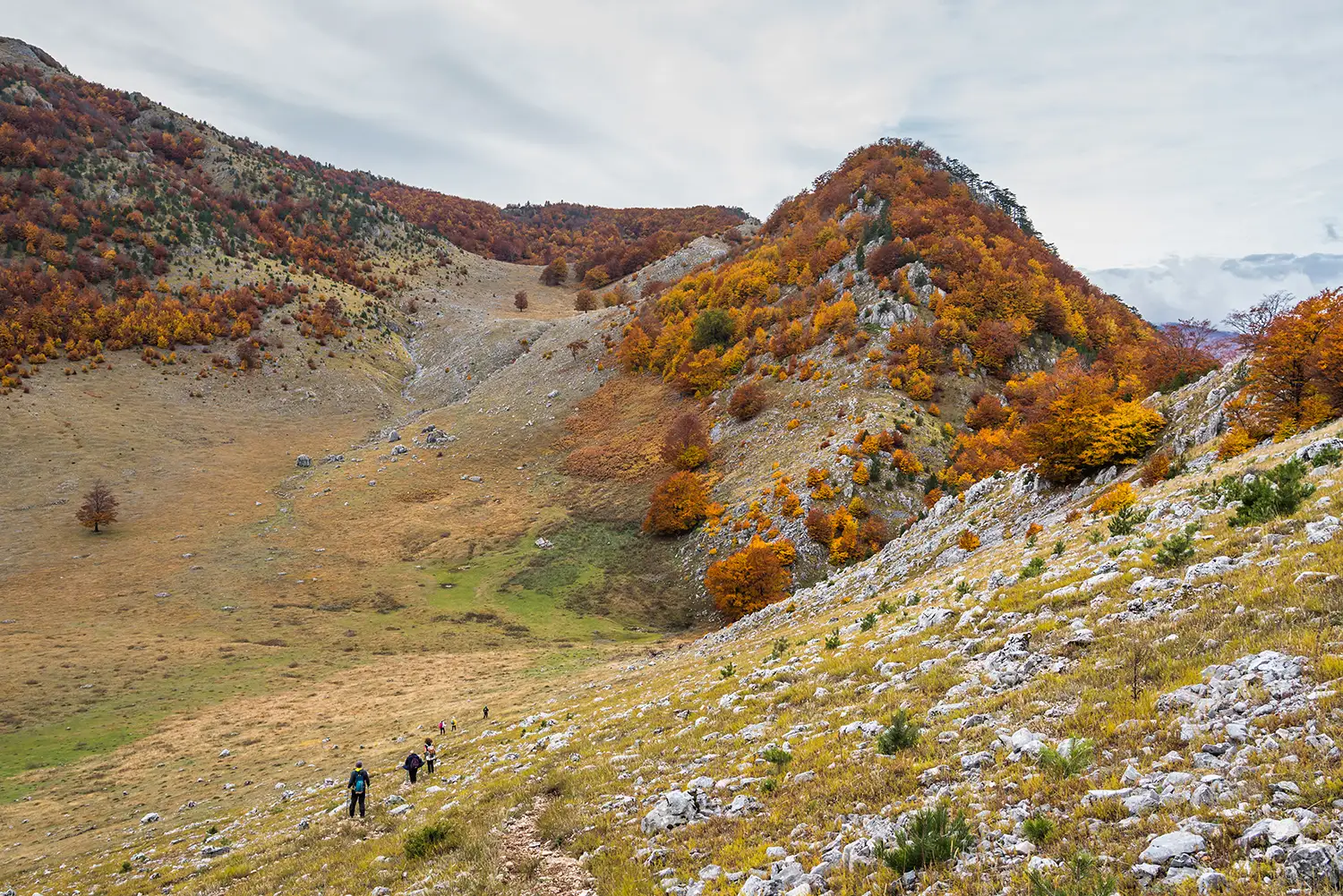 Parcul National Domogled-Valea Cernei