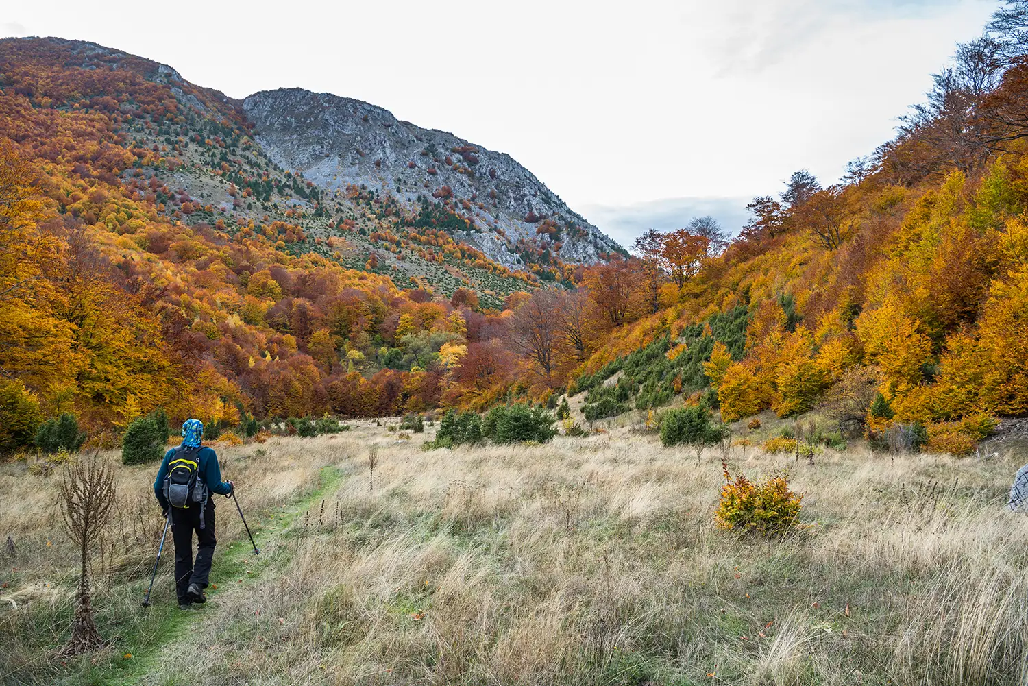 Parcul National Domogled-Valea Cernei