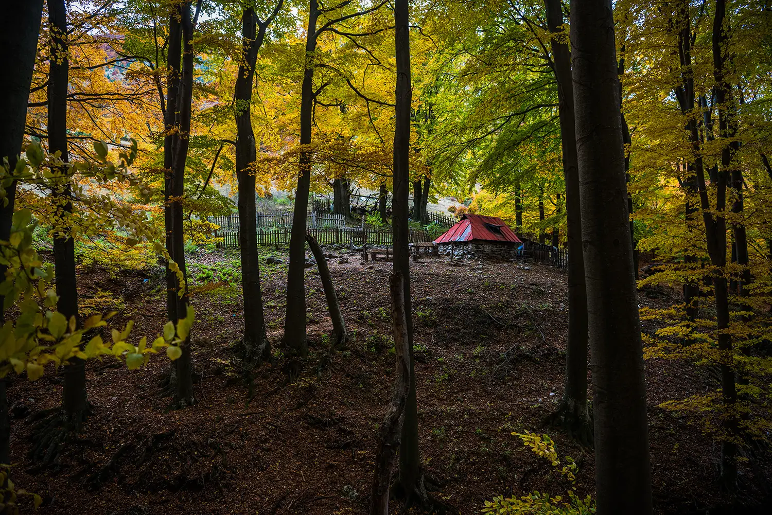 Parcul National Domogled-Valea Cernei