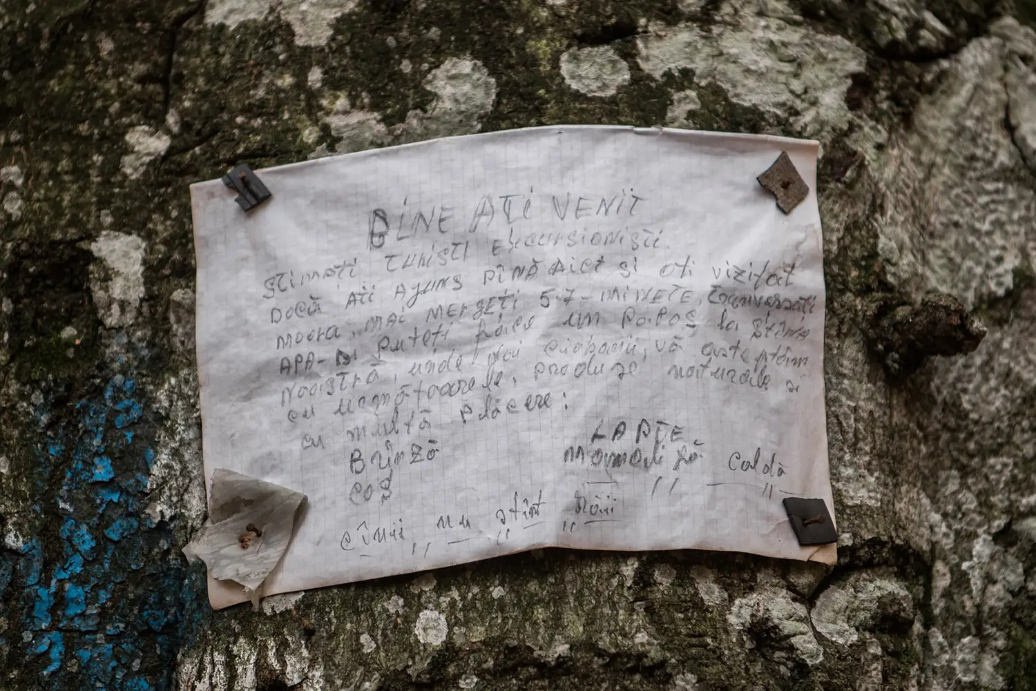 Parcul National Domogled-Valea Cernei