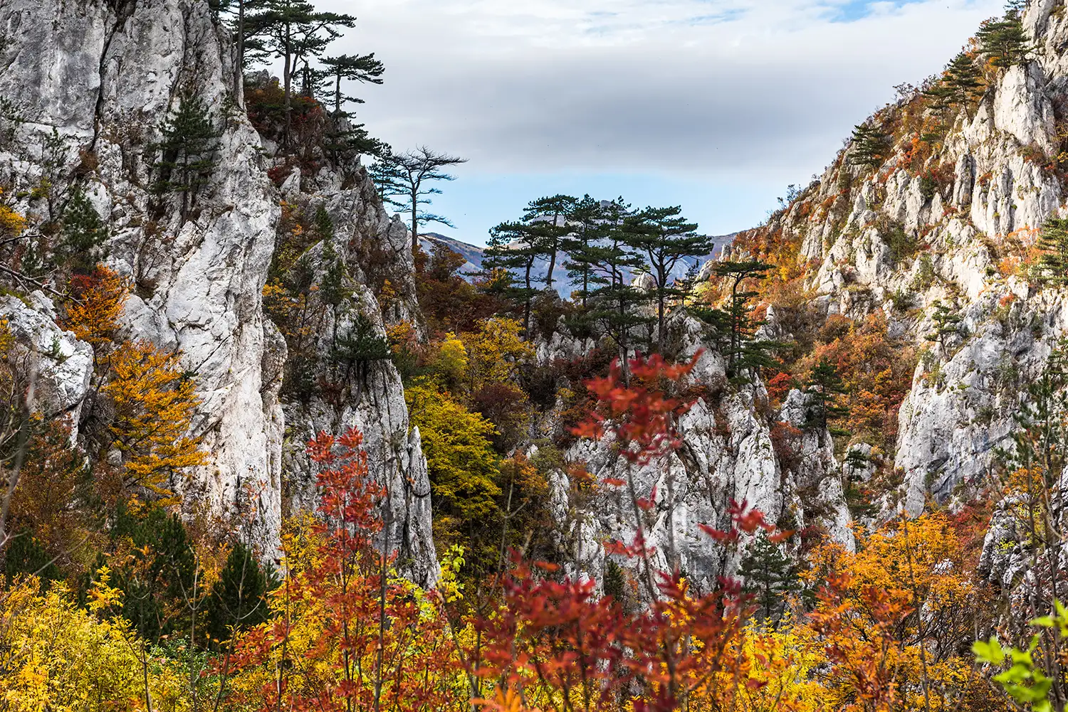Parcul National Domogled-Valea Cernei