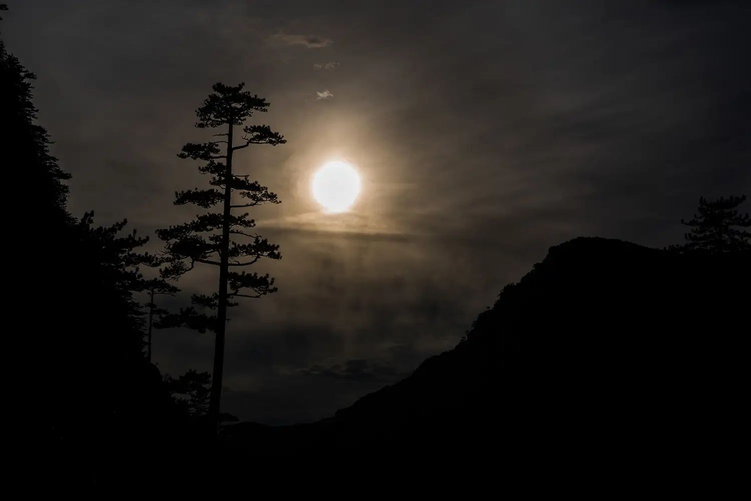 Parcul National Domogled-Valea Cernei