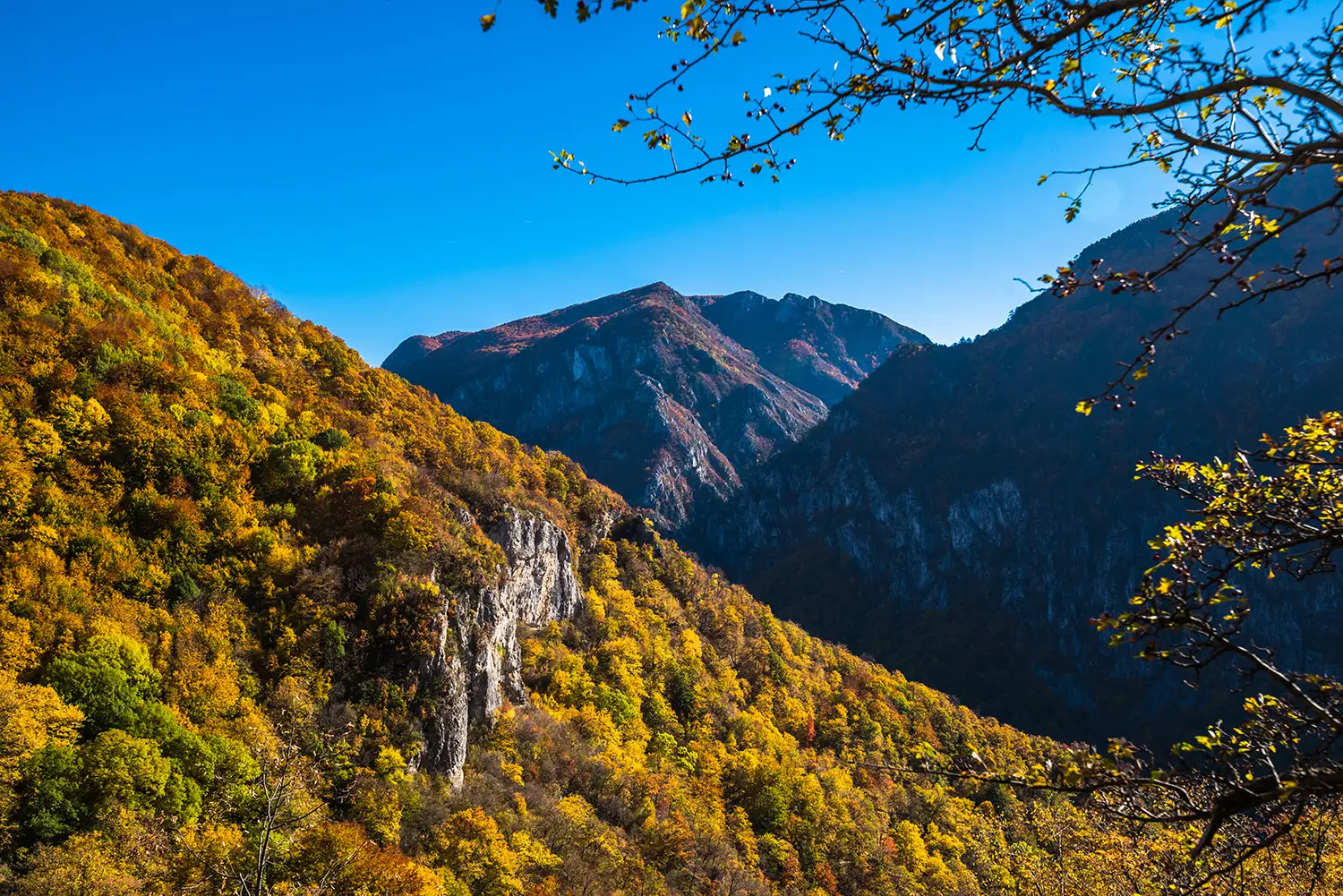 Parcul National Domogled-Valea Cernei