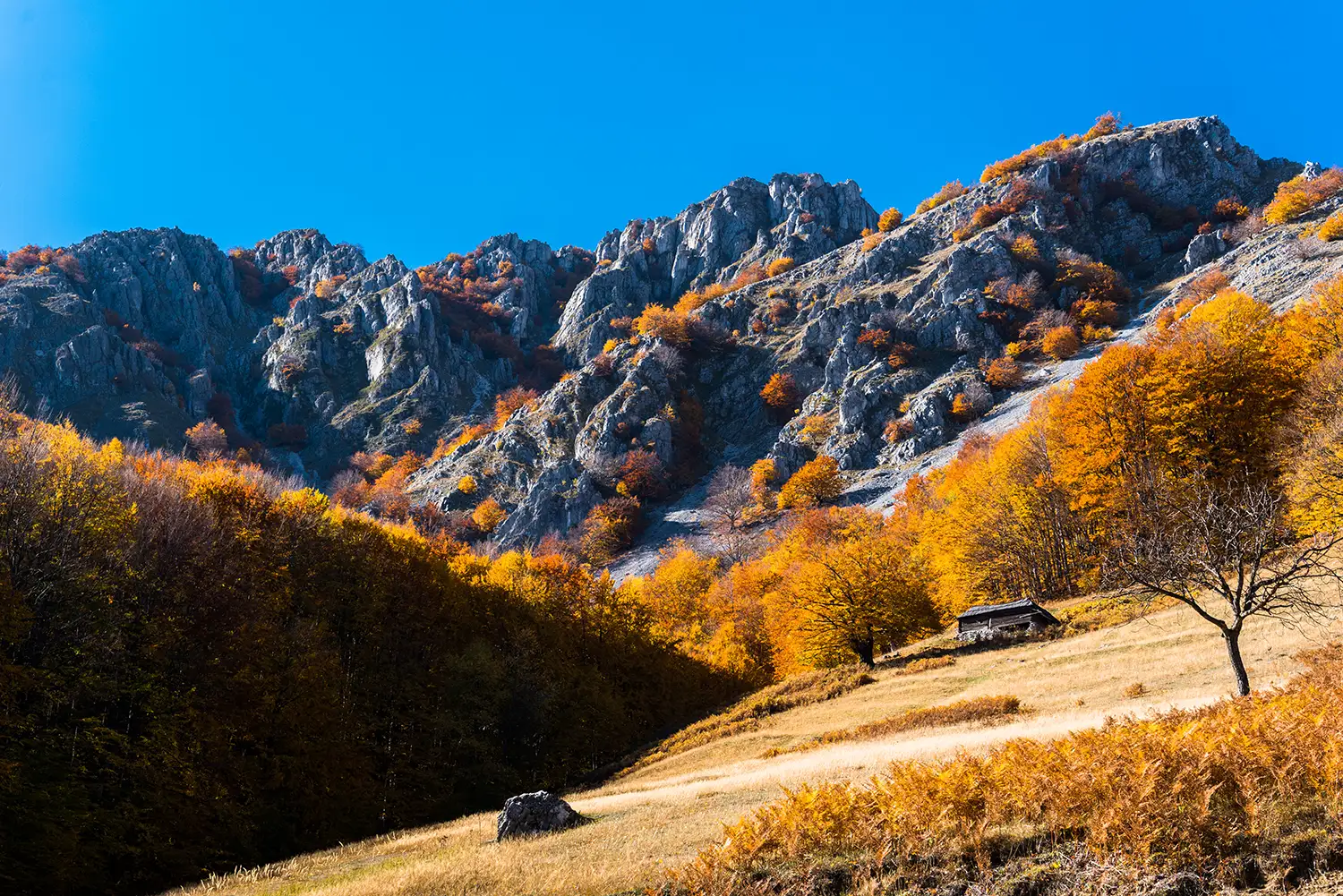 Parcul National Domogled-Valea Cernei