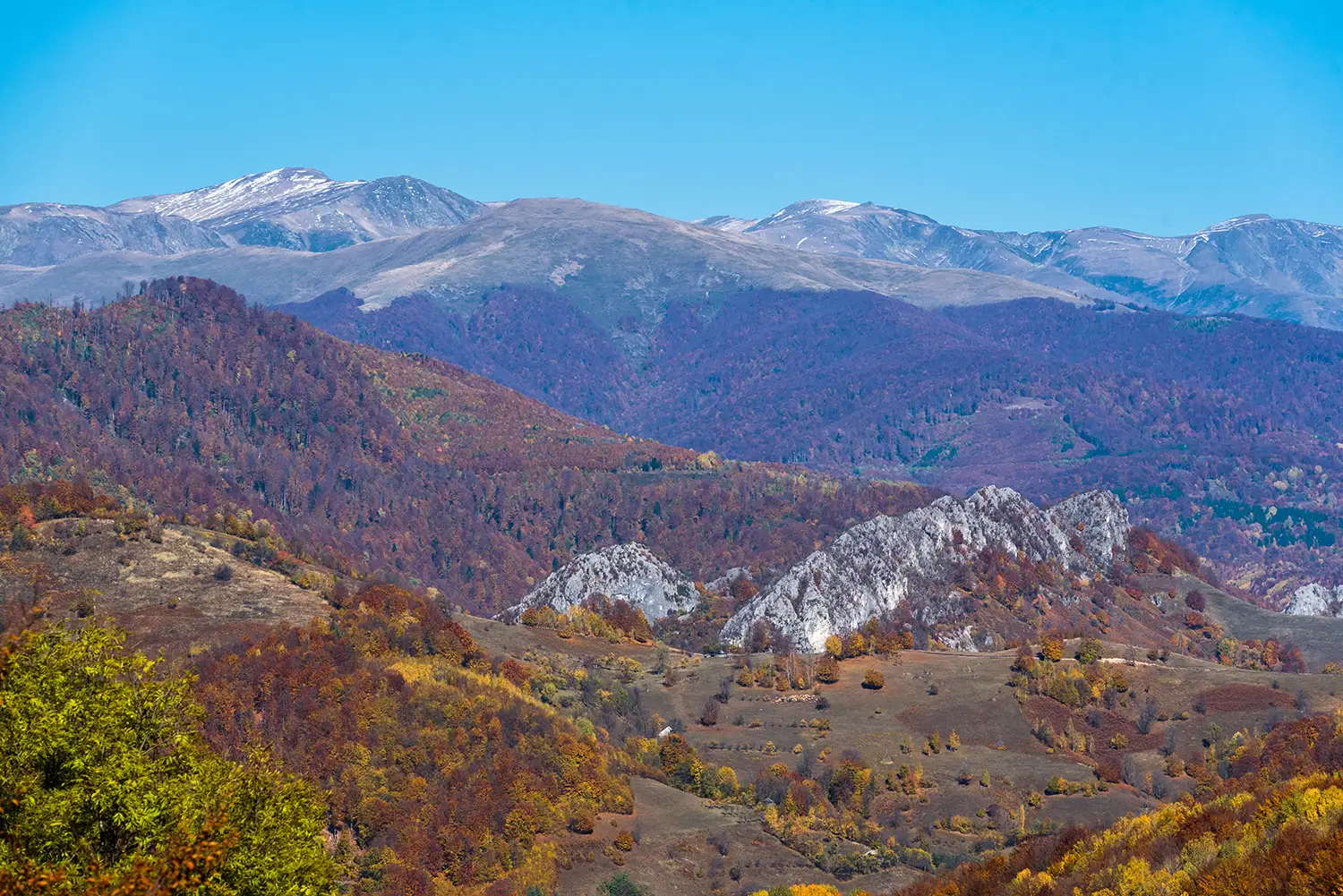 Parcul National Domogled-Valea Cernei