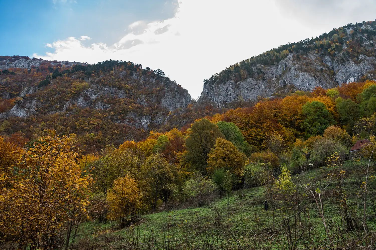 Parcul National Domogled-Valea Cernei