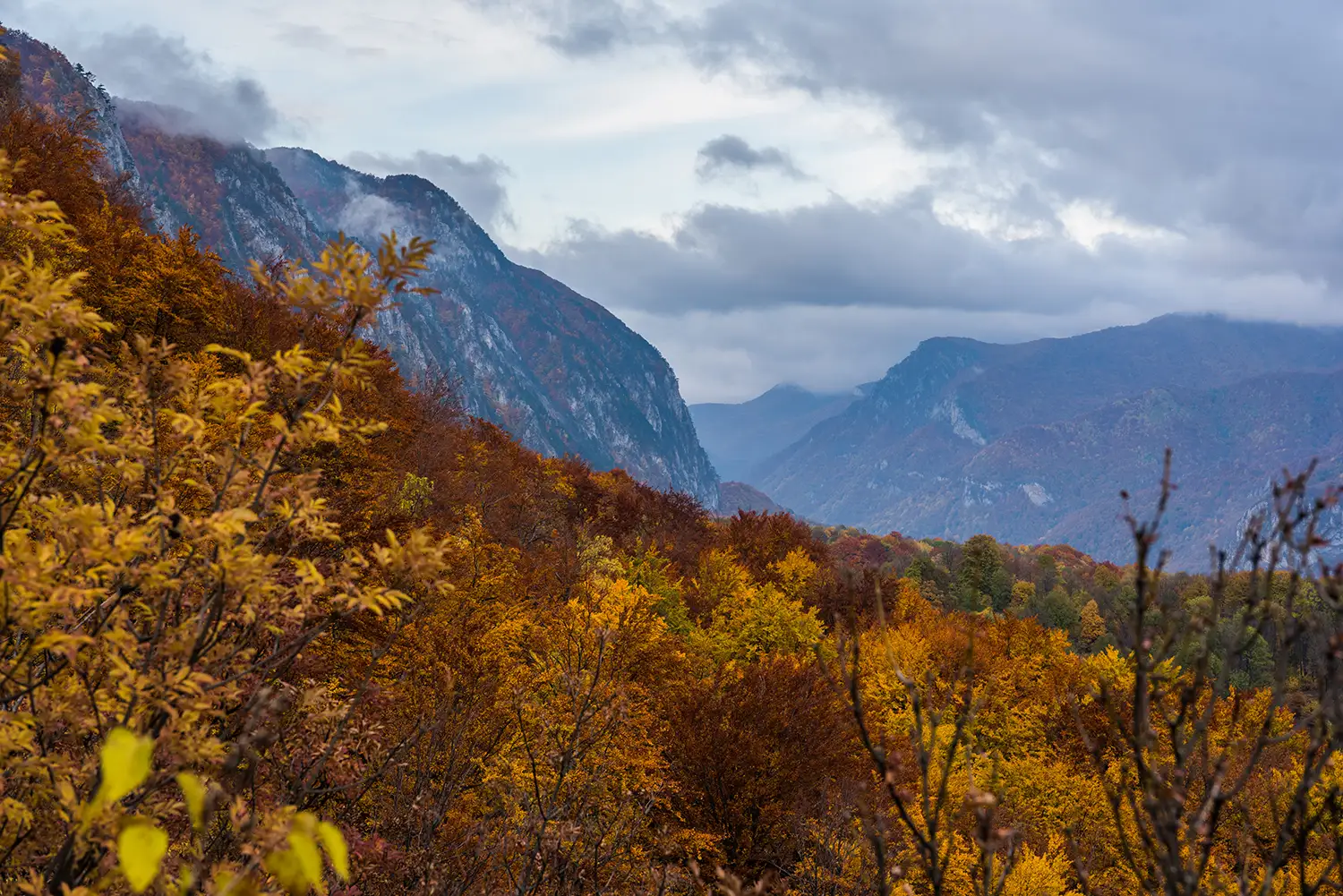 Parcul National Domogled-Valea Cernei