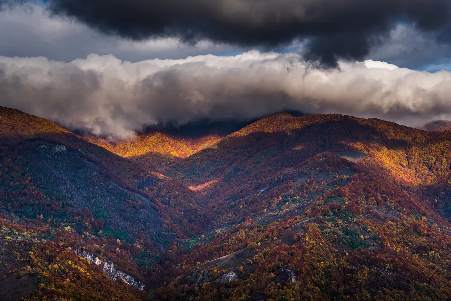 Parcul National Domogled-Valea Cernei