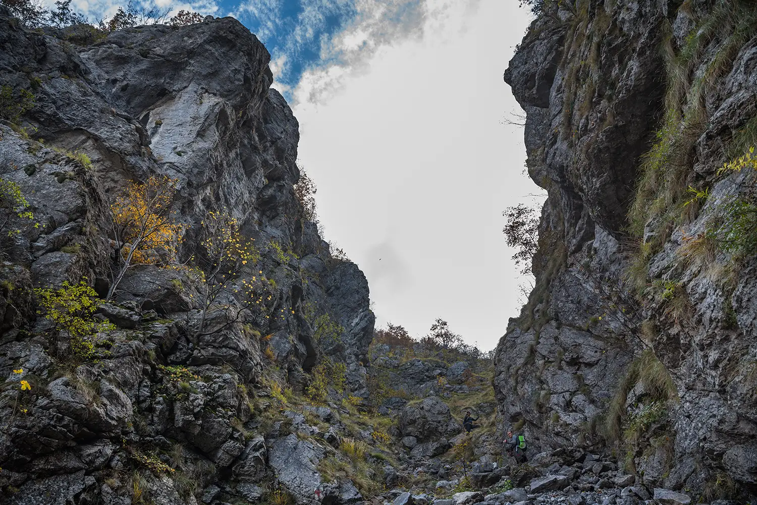 Parcul National Domogled-Valea Cernei