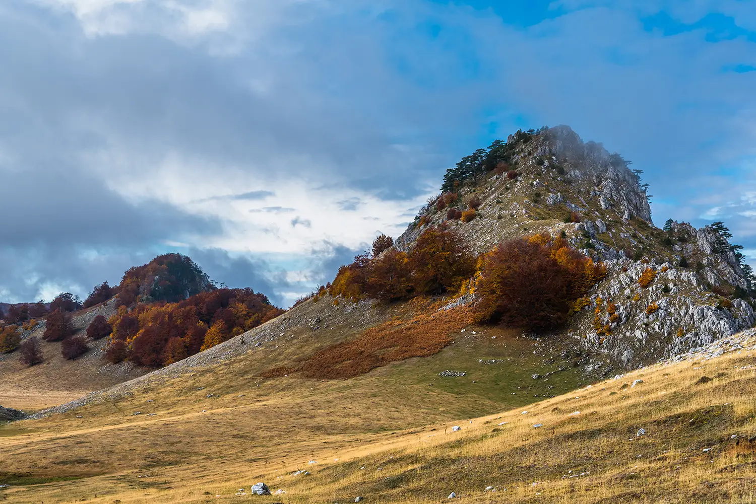 Parcul National Domogled-Valea Cernei