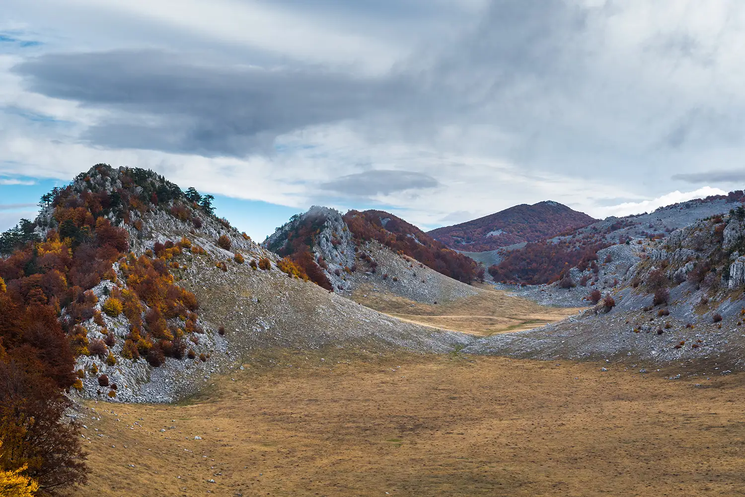Parcul National Domogled-Valea Cernei