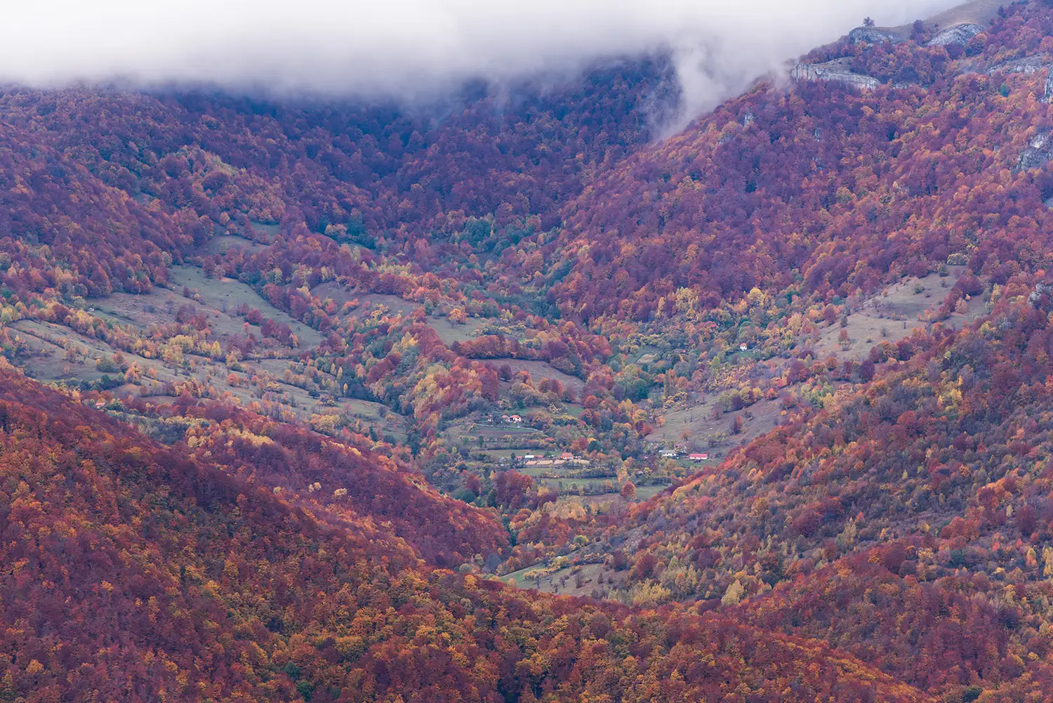 Parcul National Domogled-Valea Cernei