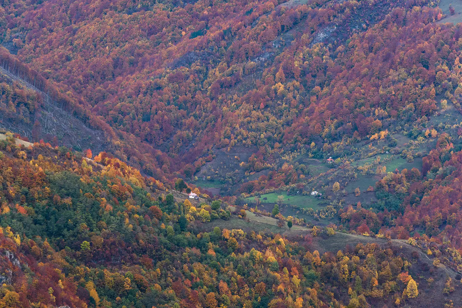 Parcul National Domogled-Valea Cernei