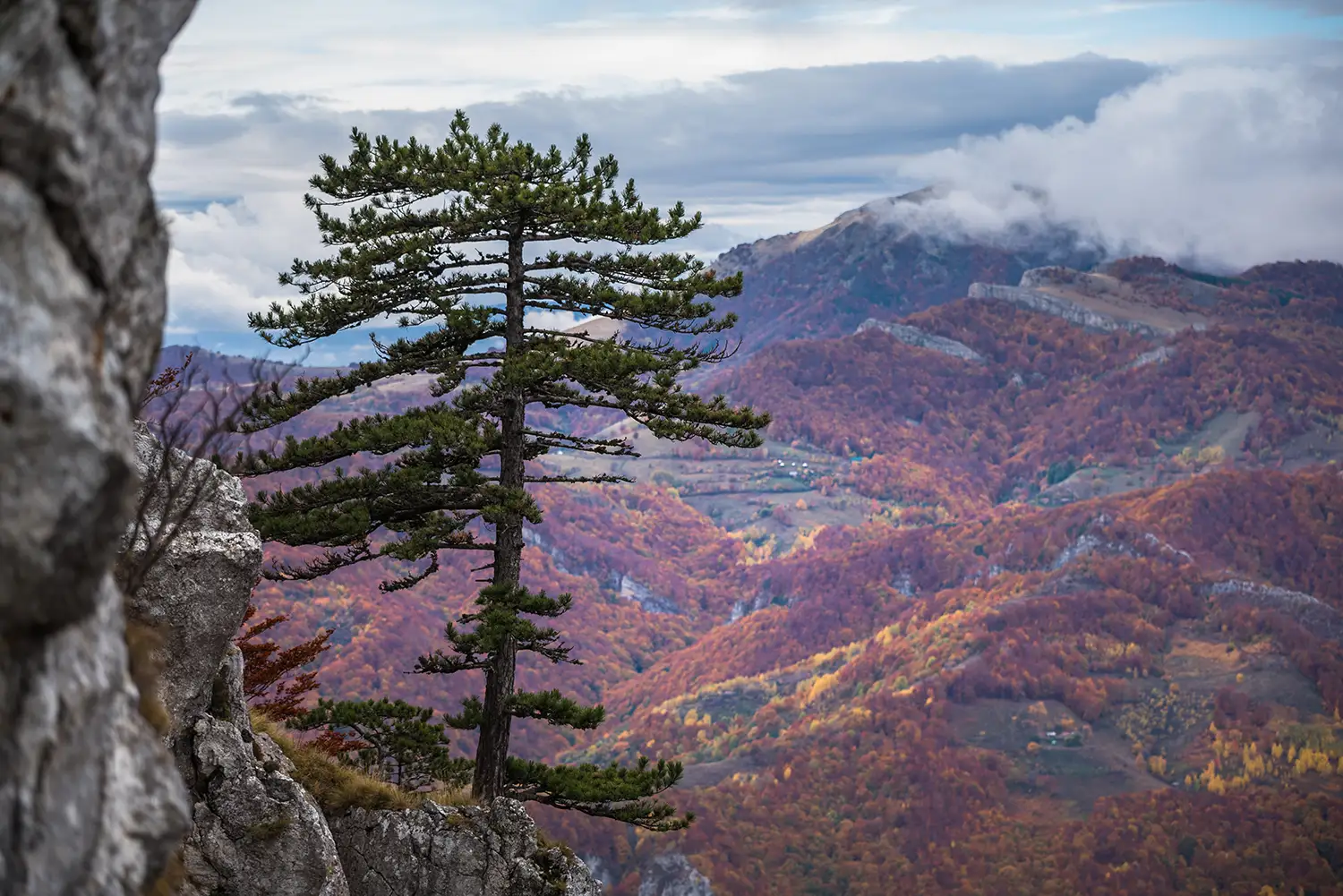 Parcul National Domogled-Valea Cernei