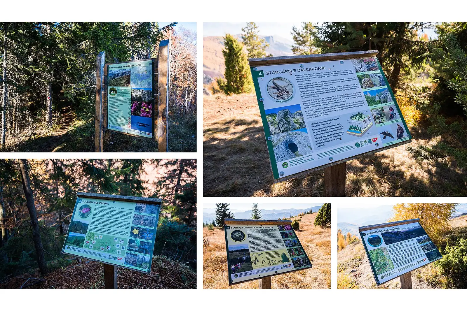 Panourile informative ale potecii tematice Natura In culori - Daniel Morar