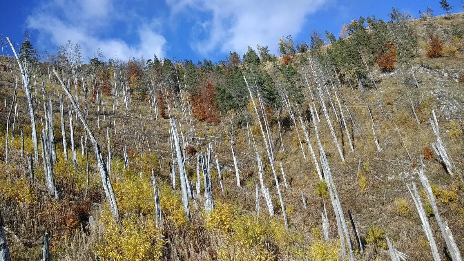  Locul unde o furtună a făcut prăpăd - Manu Munțomanu