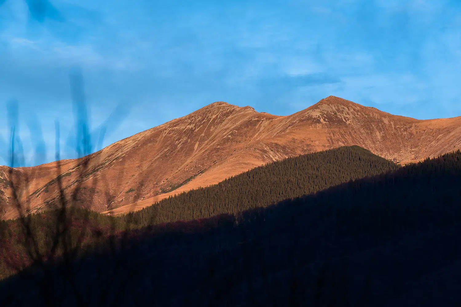 Munții Piule-Iorgovanu