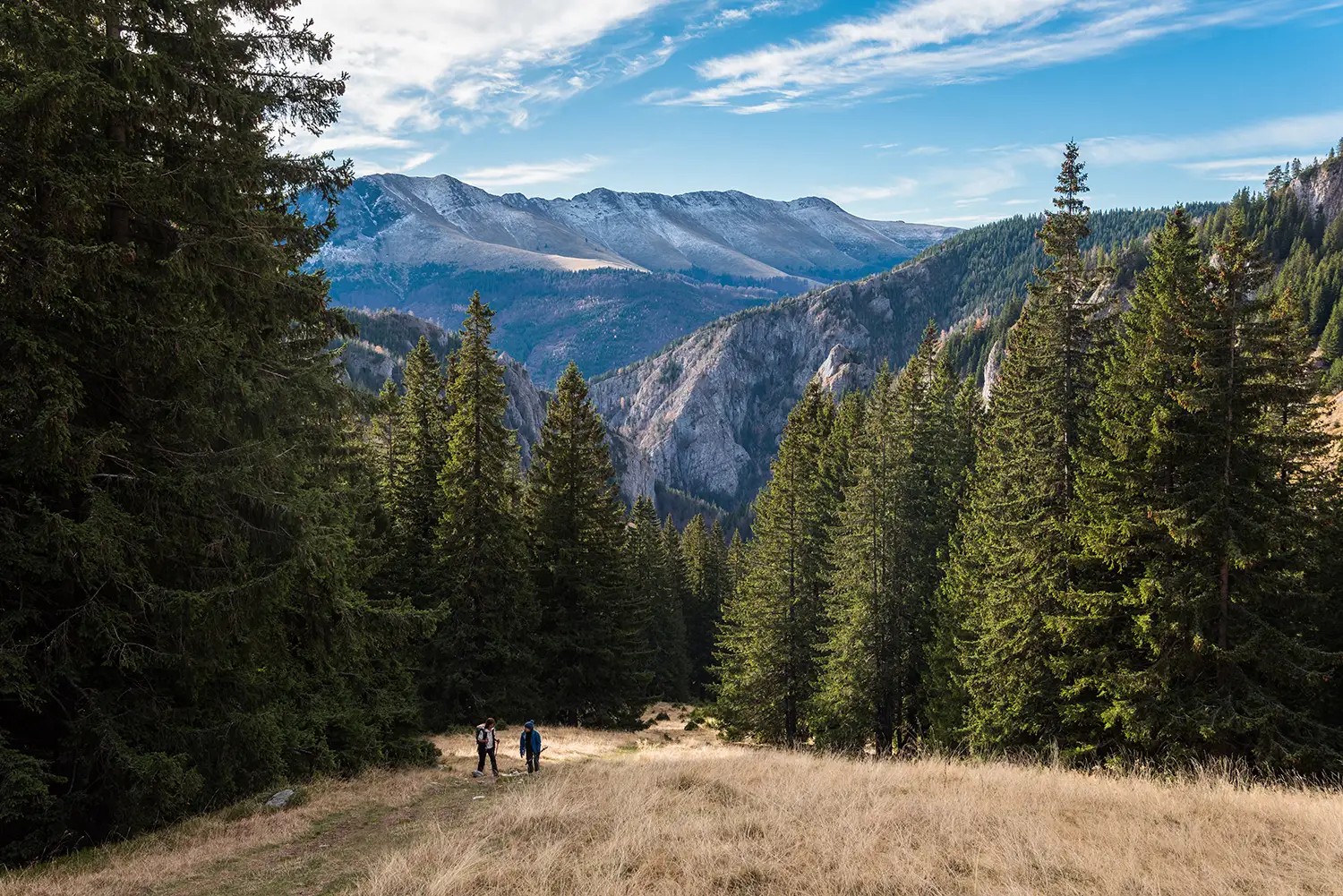 Munții Piule-Iorgovanu