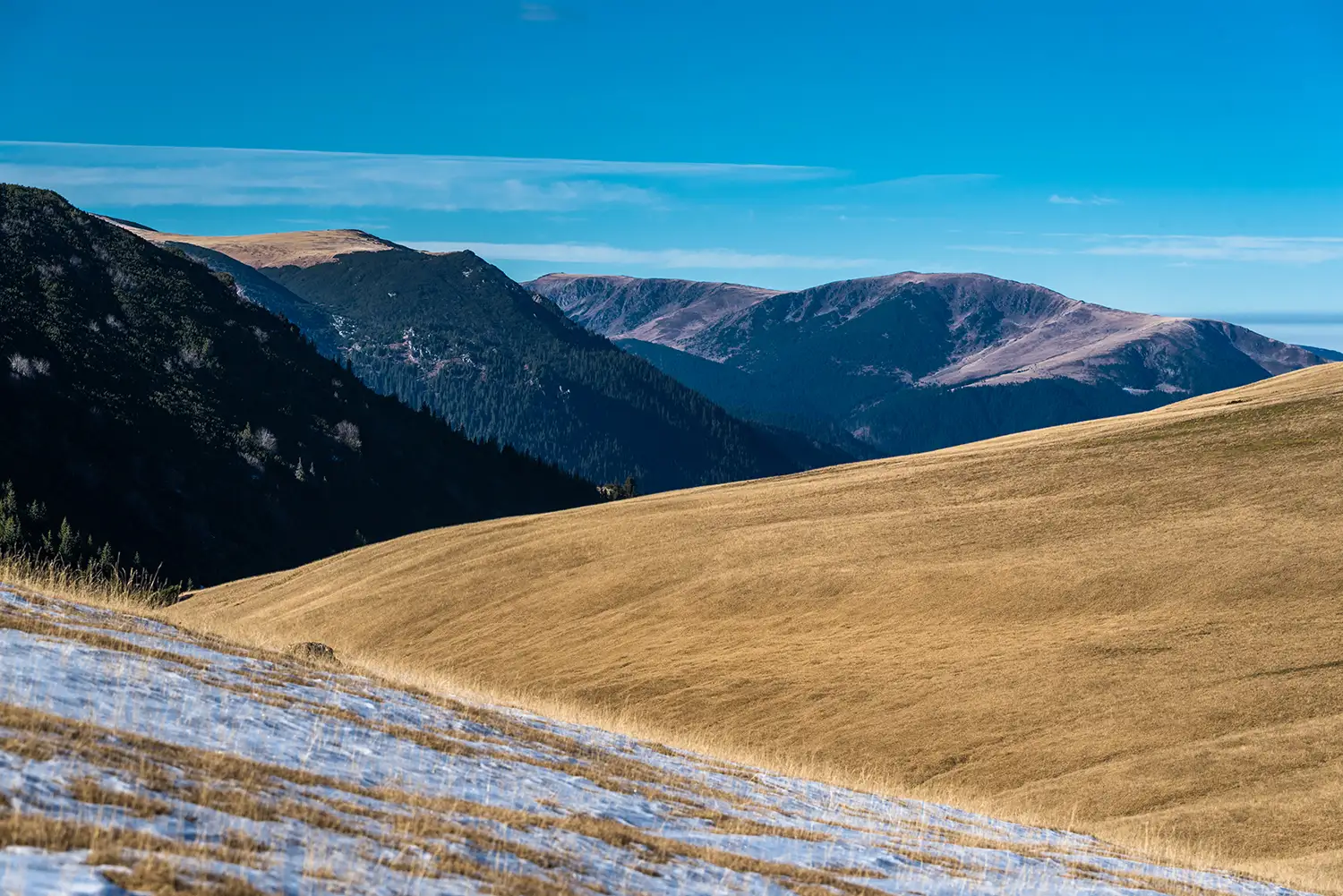 Munții Piule-Iorgovanu