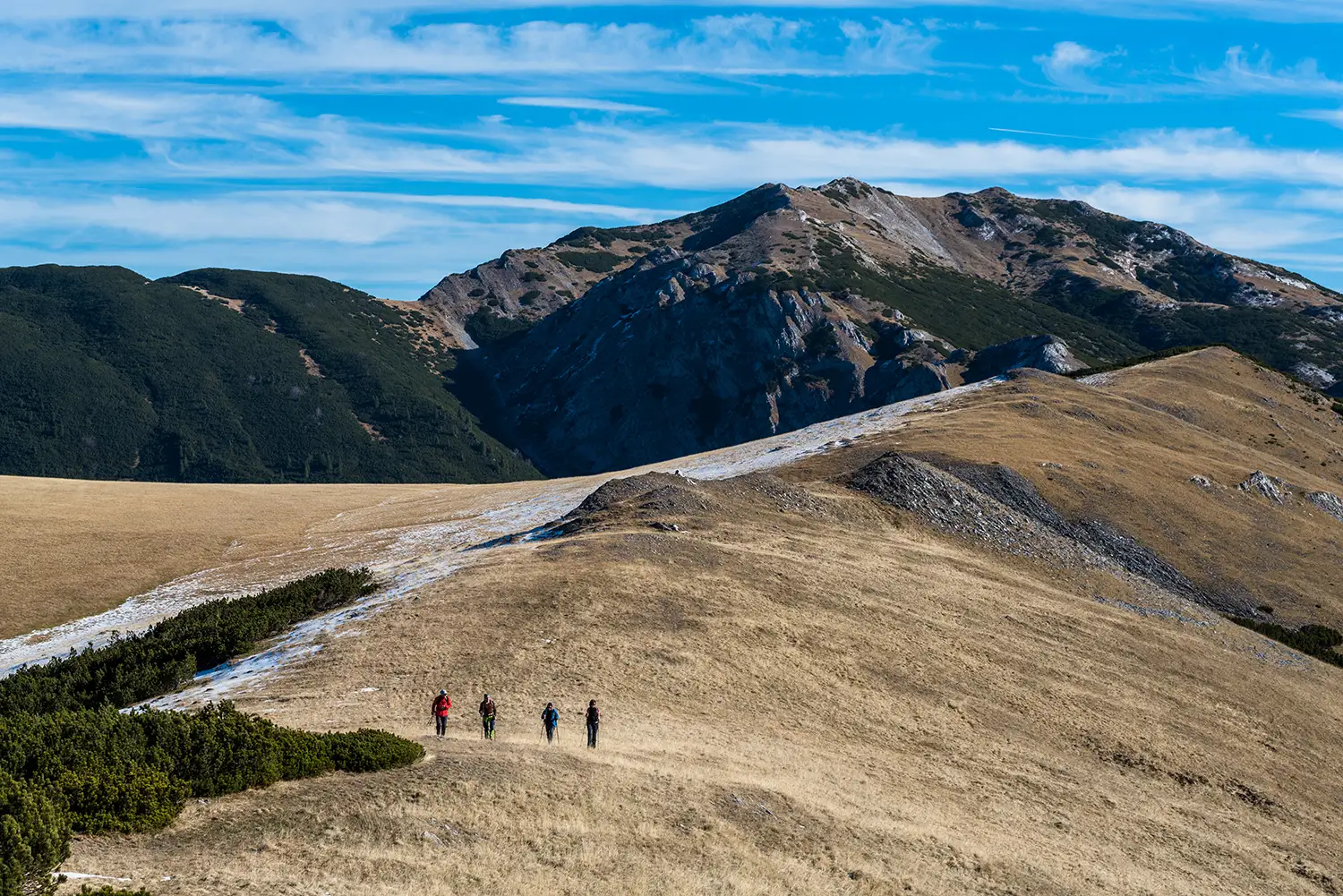 Munții Piule-Iorgovanu