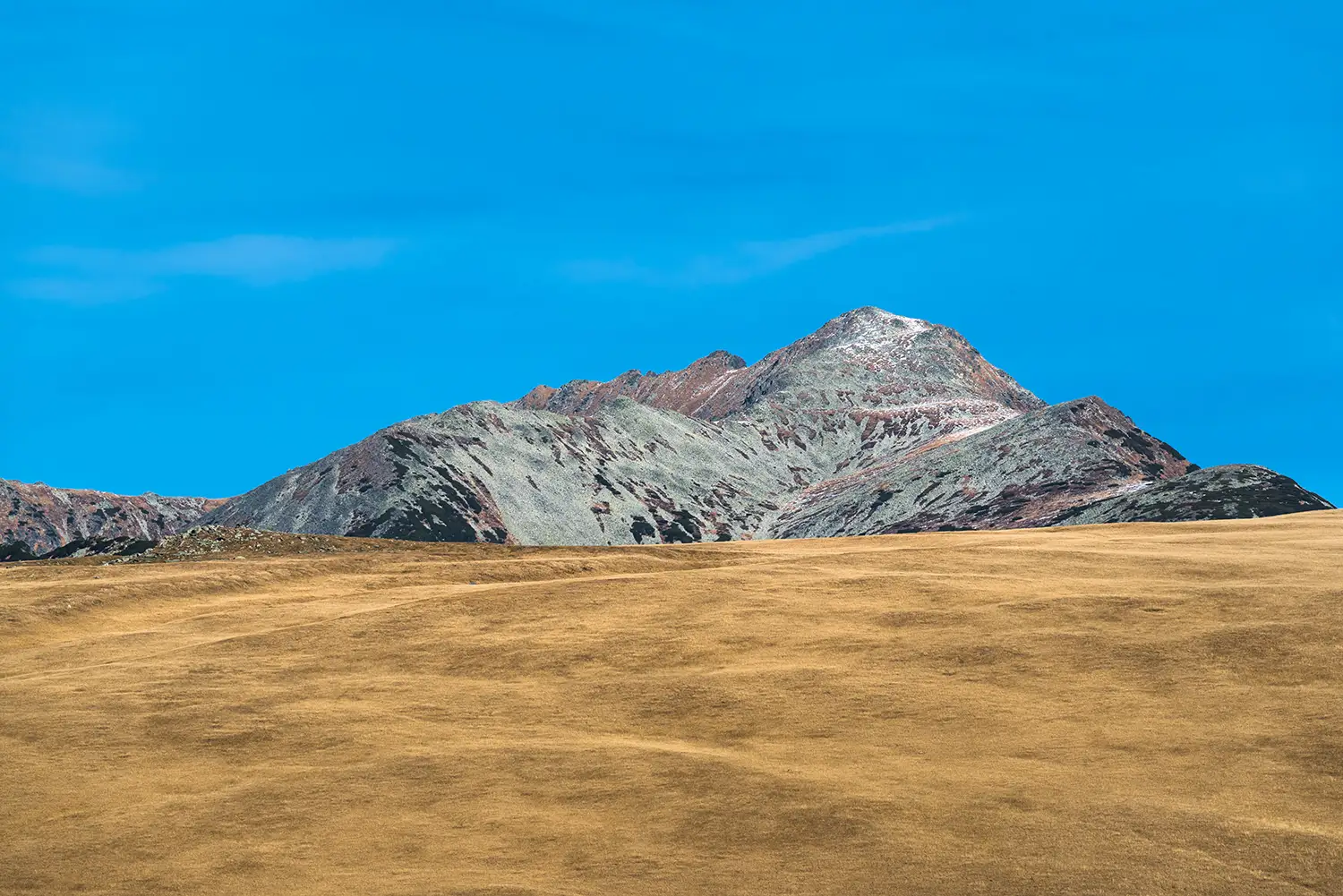 Munții Piule-Iorgovanu