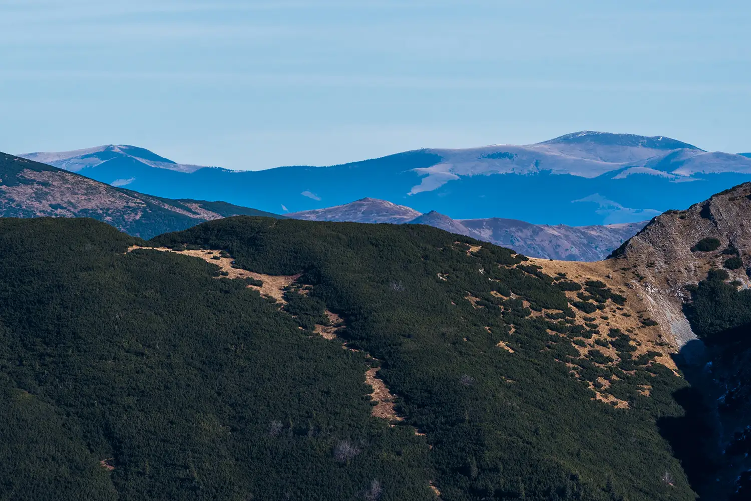 Munții Piule-Iorgovanu