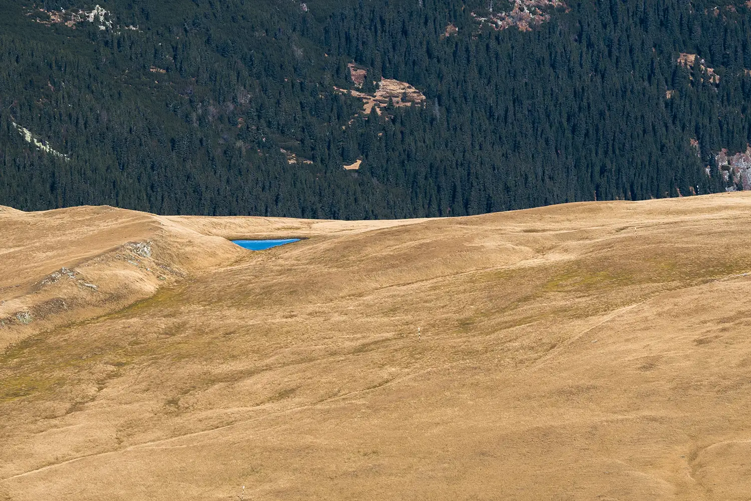 Munții Piule-Iorgovanu