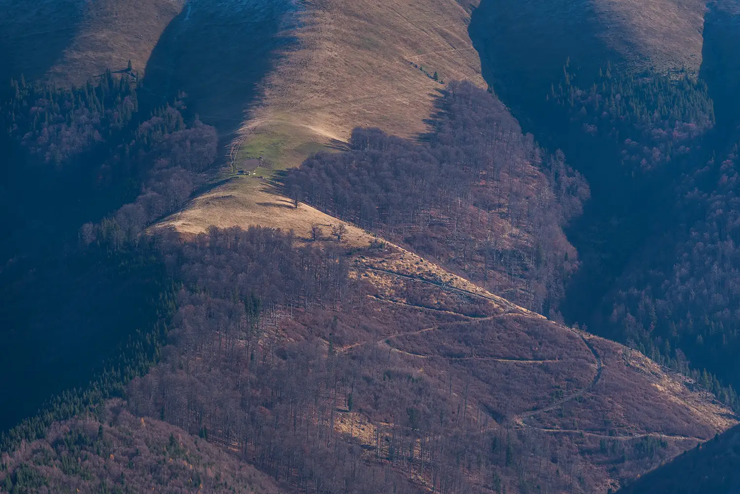 Munții Piule-Iorgovanu