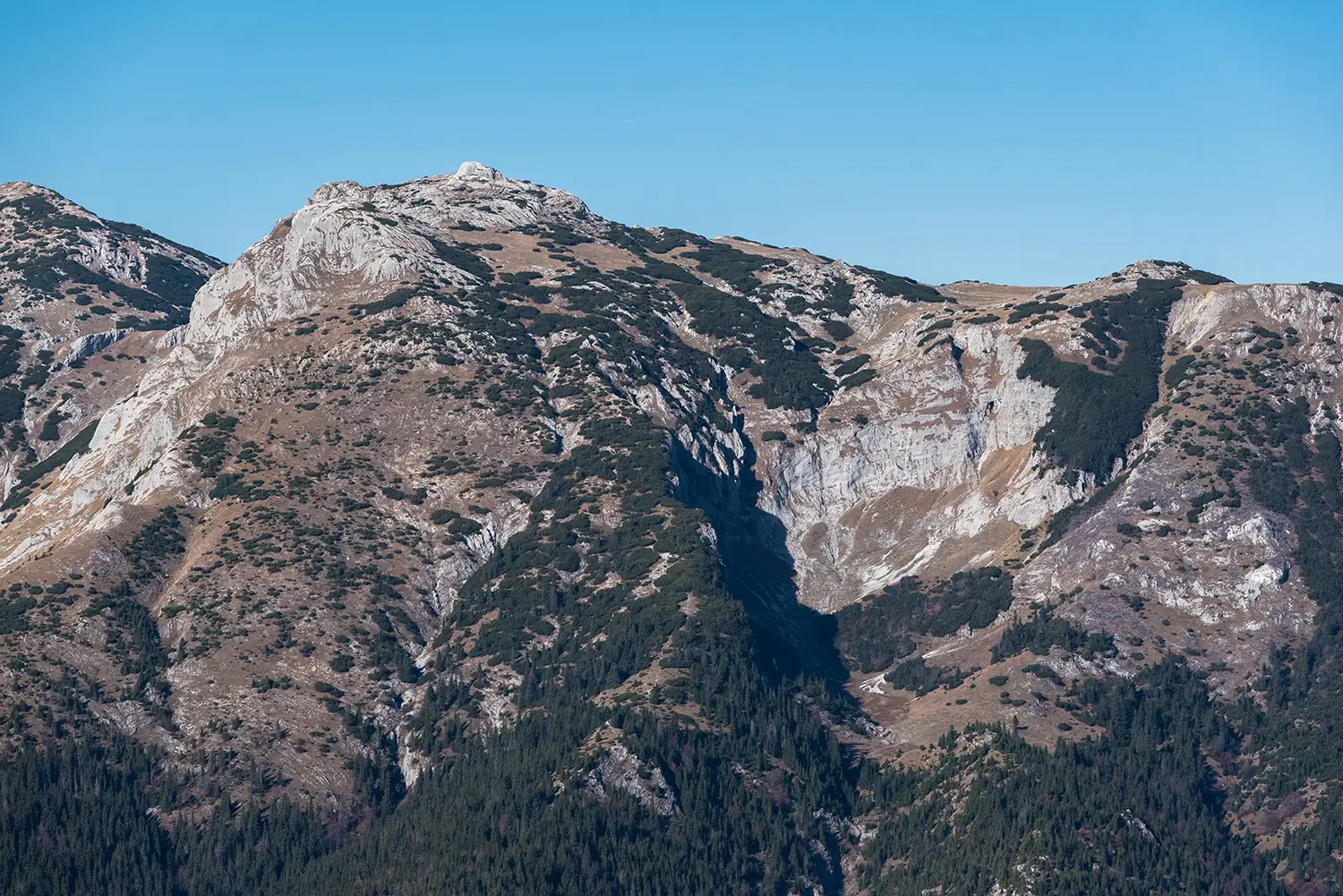 Munții Piule-Iorgovanu