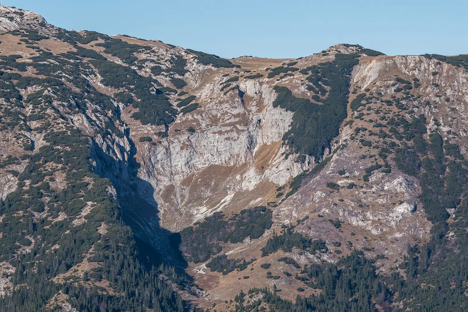 Munții Piule-Iorgovanu