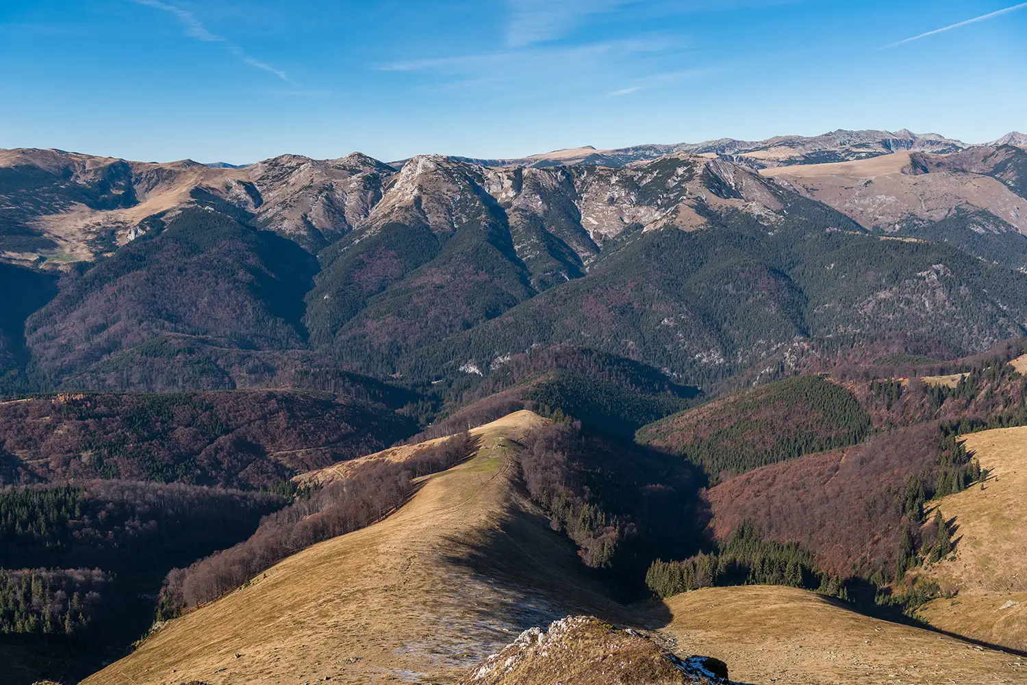 Munții Piule-Iorgovanu