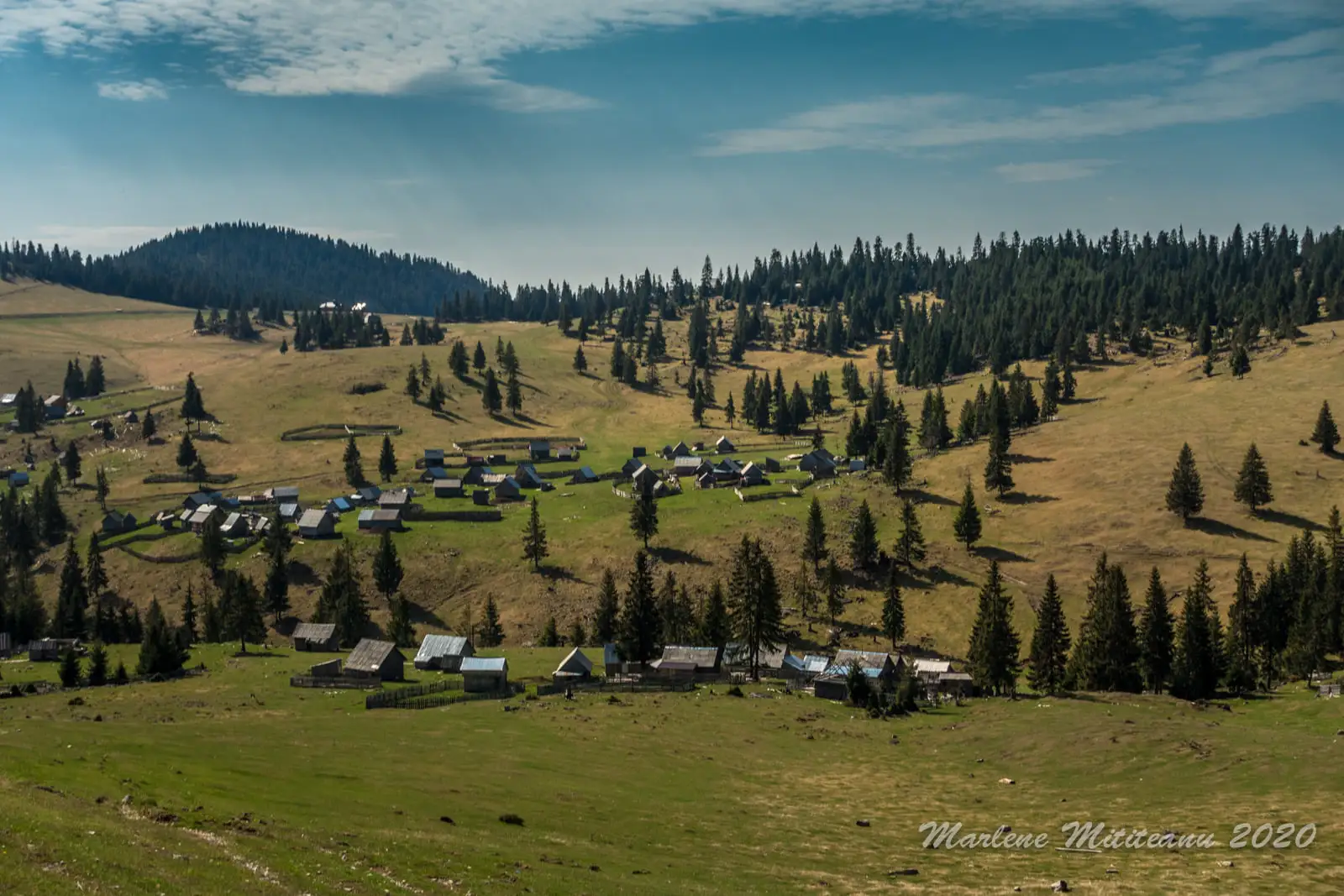  Poiana Calineasa - Marlene Mititeanu