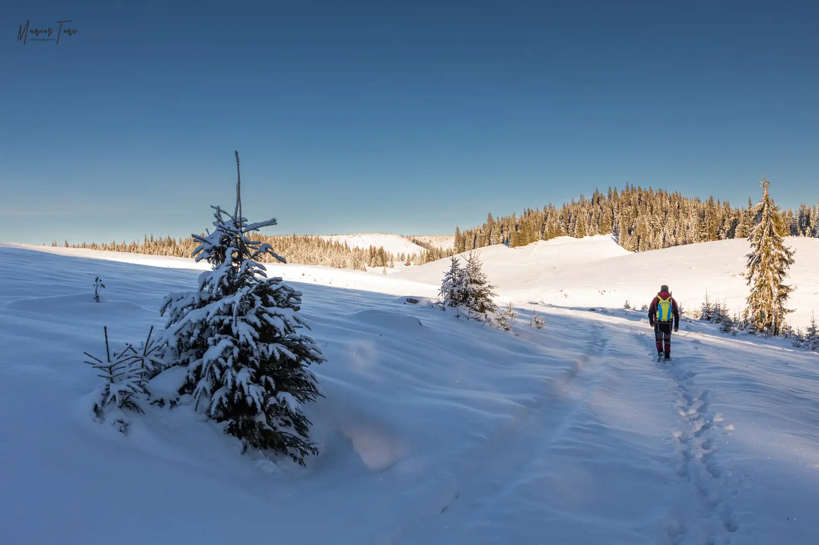  Continuam printre braduti - Marius Turc