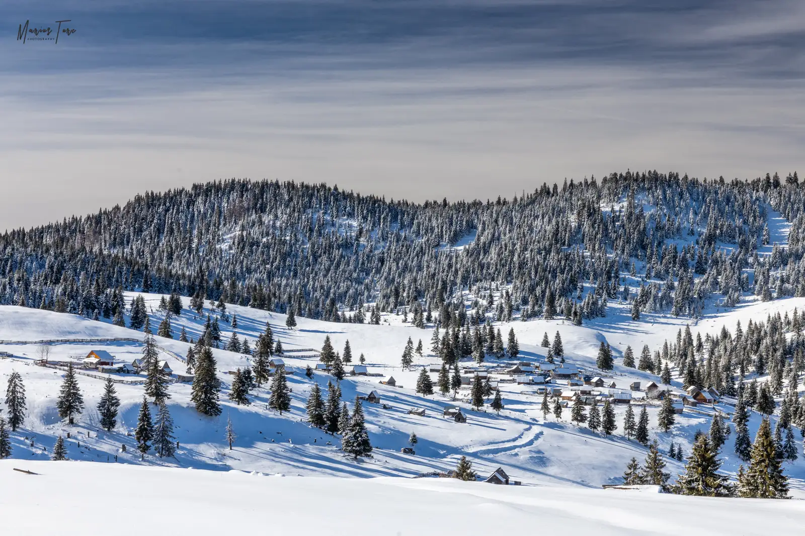 Poiana Calineasa - Marius Turc