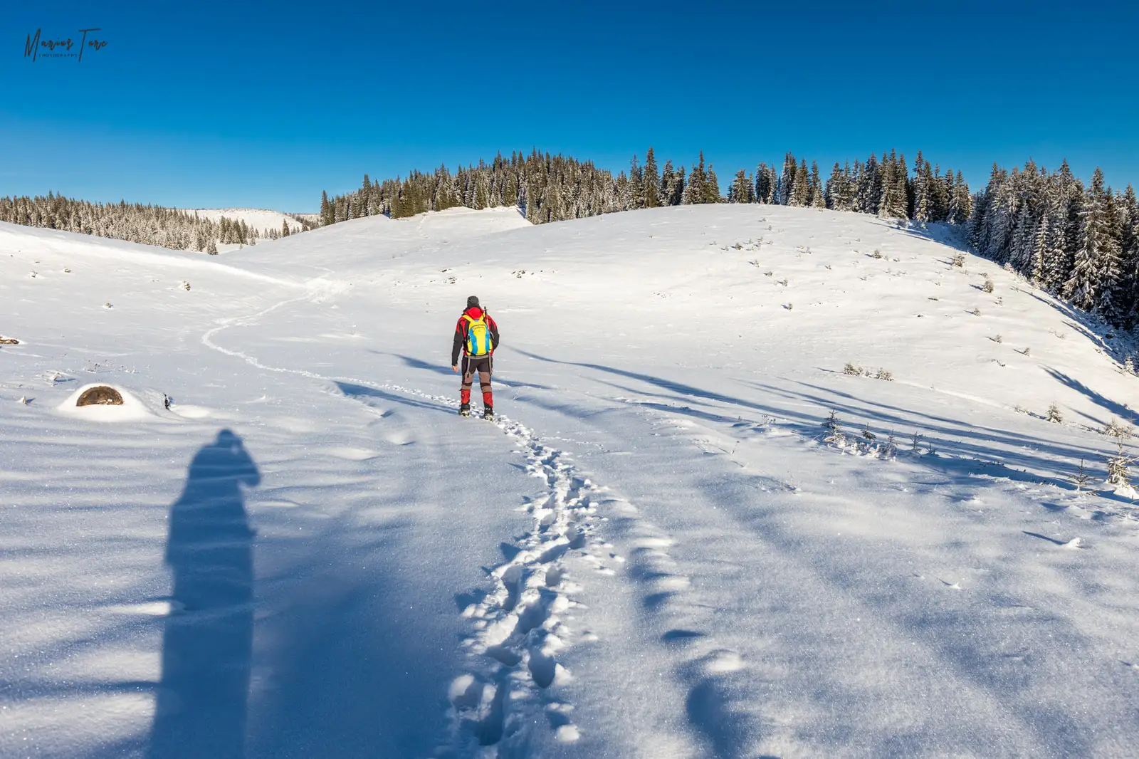  Facem noi poteca - Marius Turc