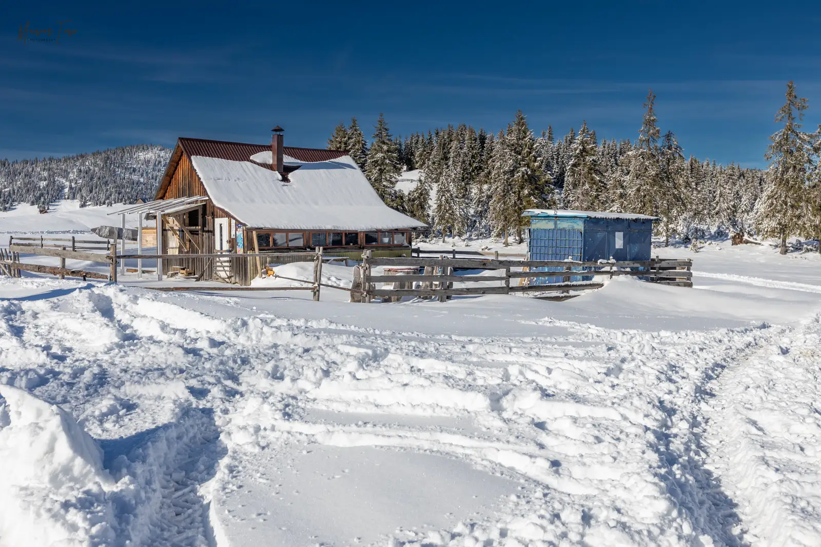  Un mic magazin autohton - Marius Turc