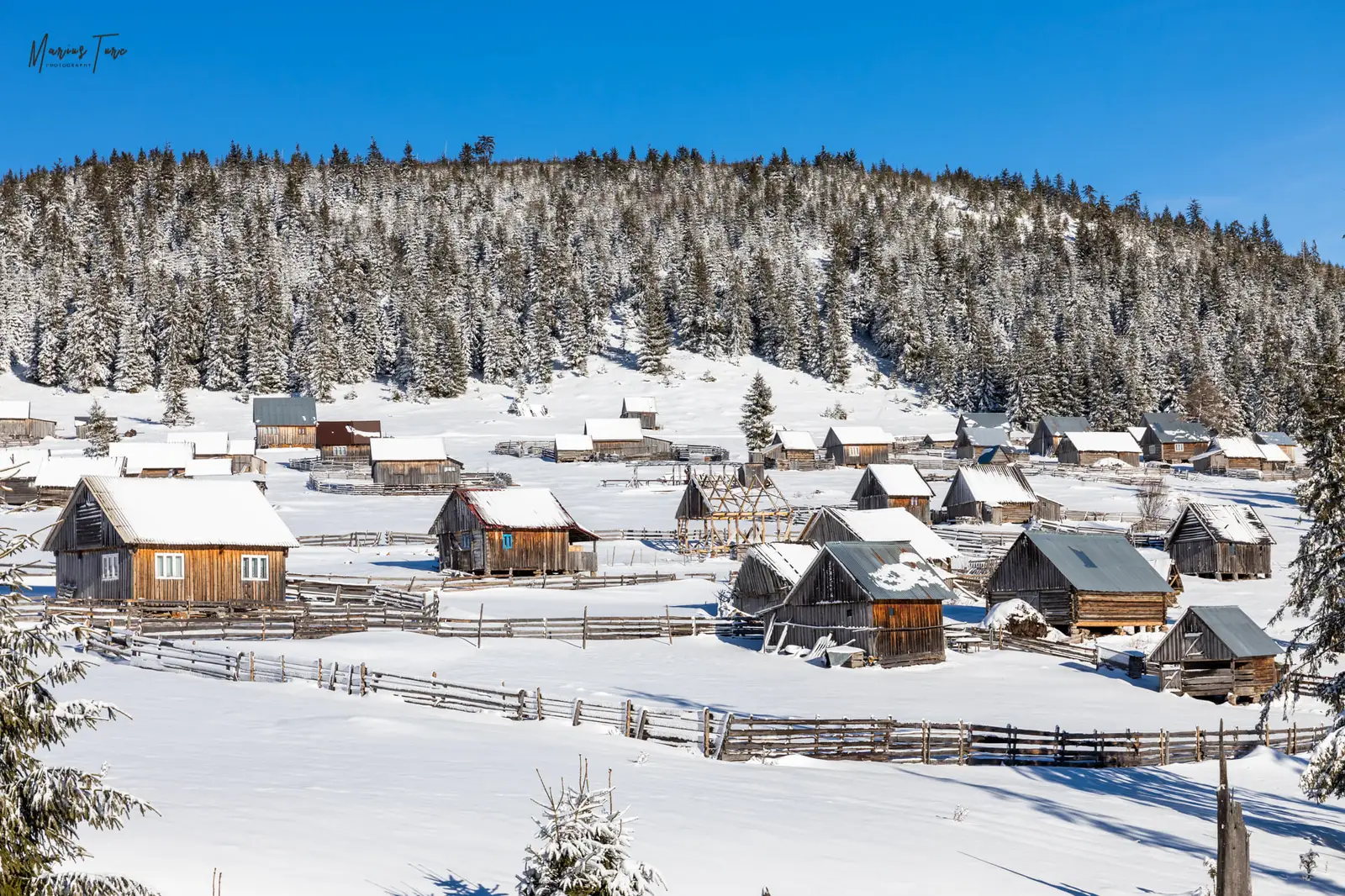 Poiana Calineasa - Marius Turc