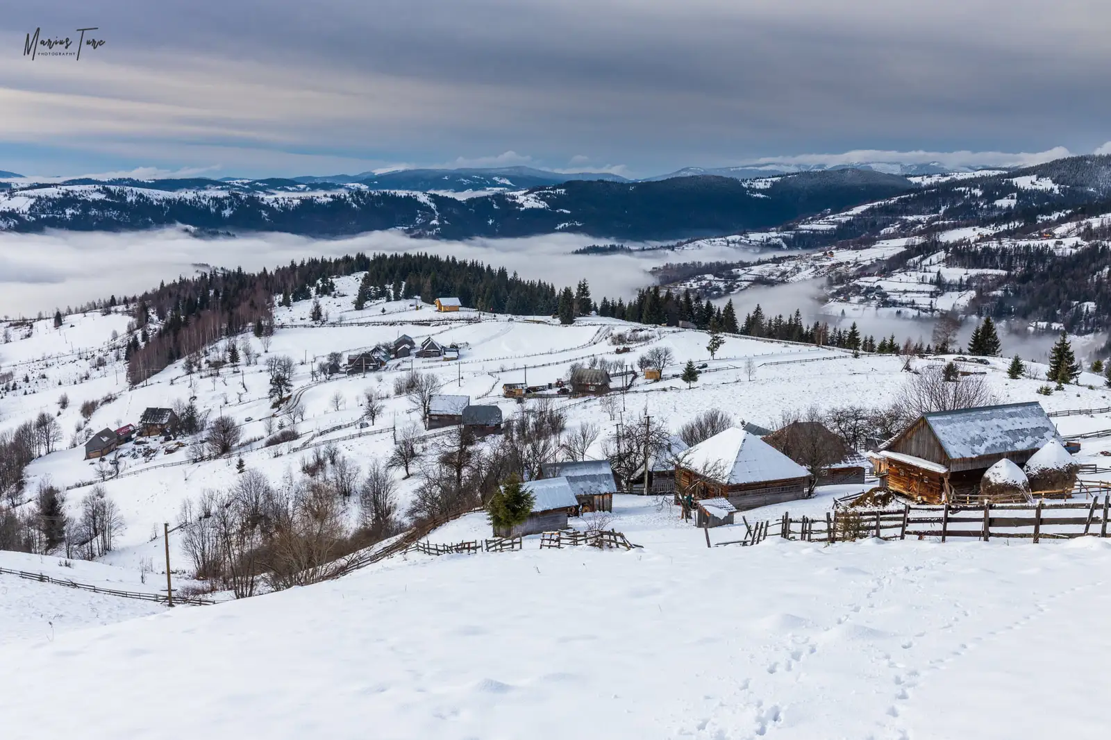 Un catun numit Zanzesti - Marius Turc