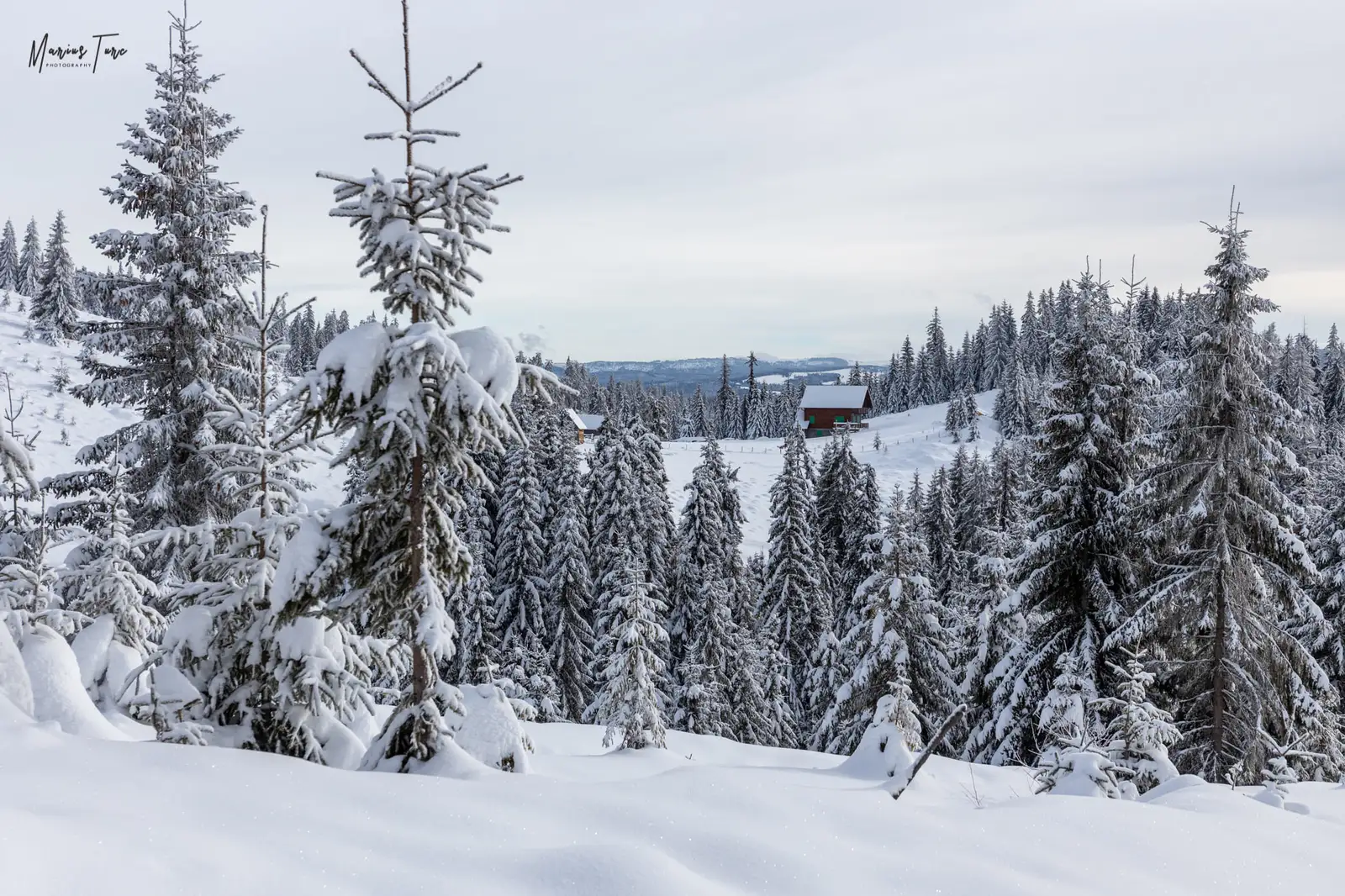 spre Cabana cota 1600 - Marius Turc