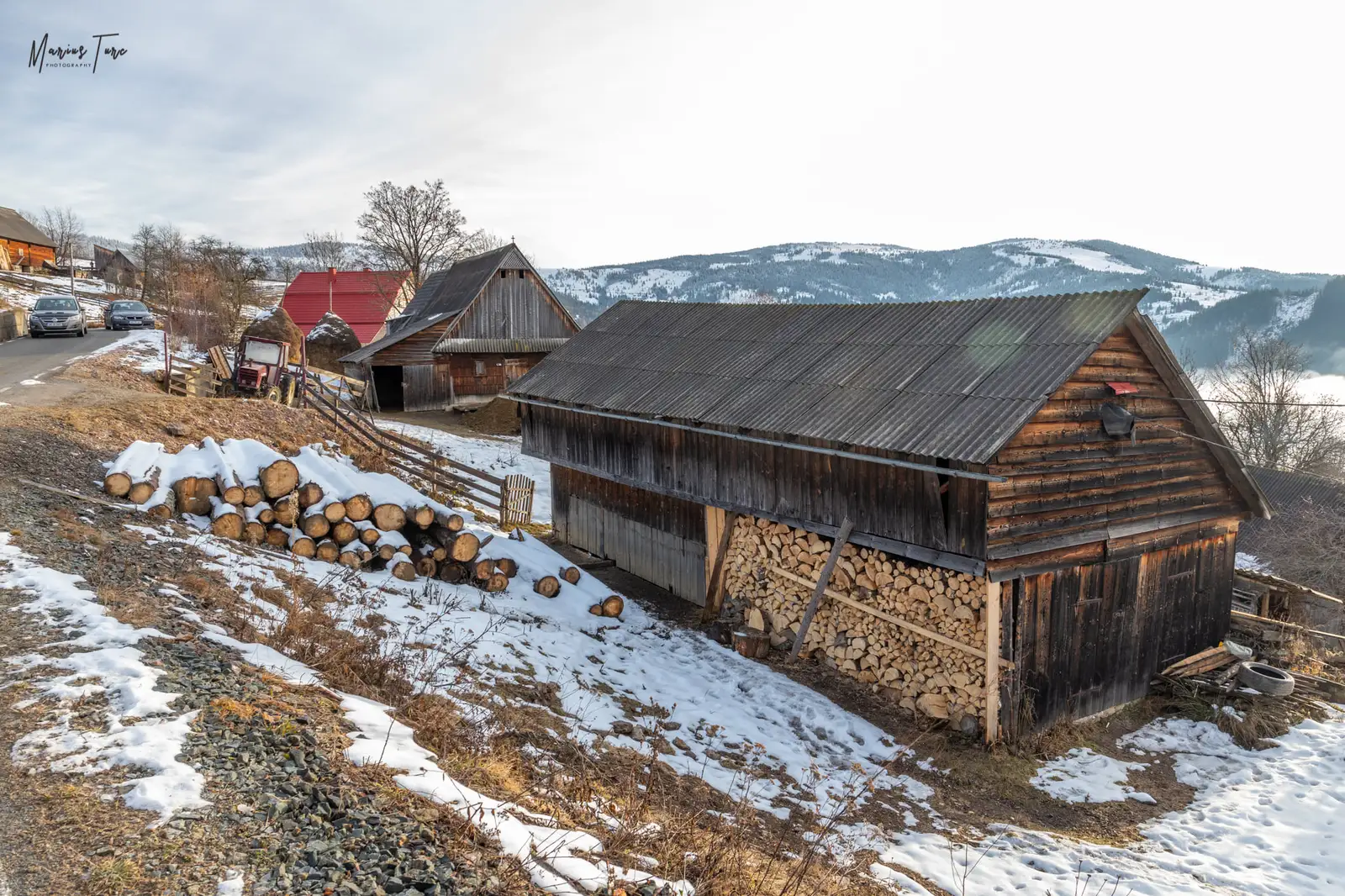  Sura de lemne - Marius Turc