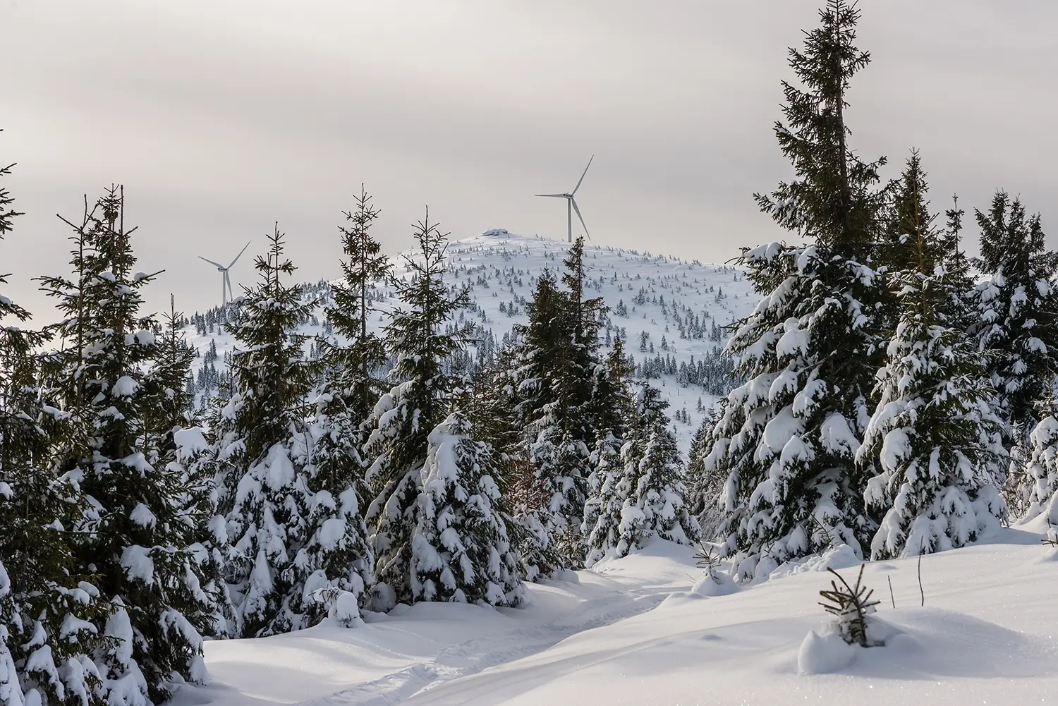 Vârful Cucurbăta Mică