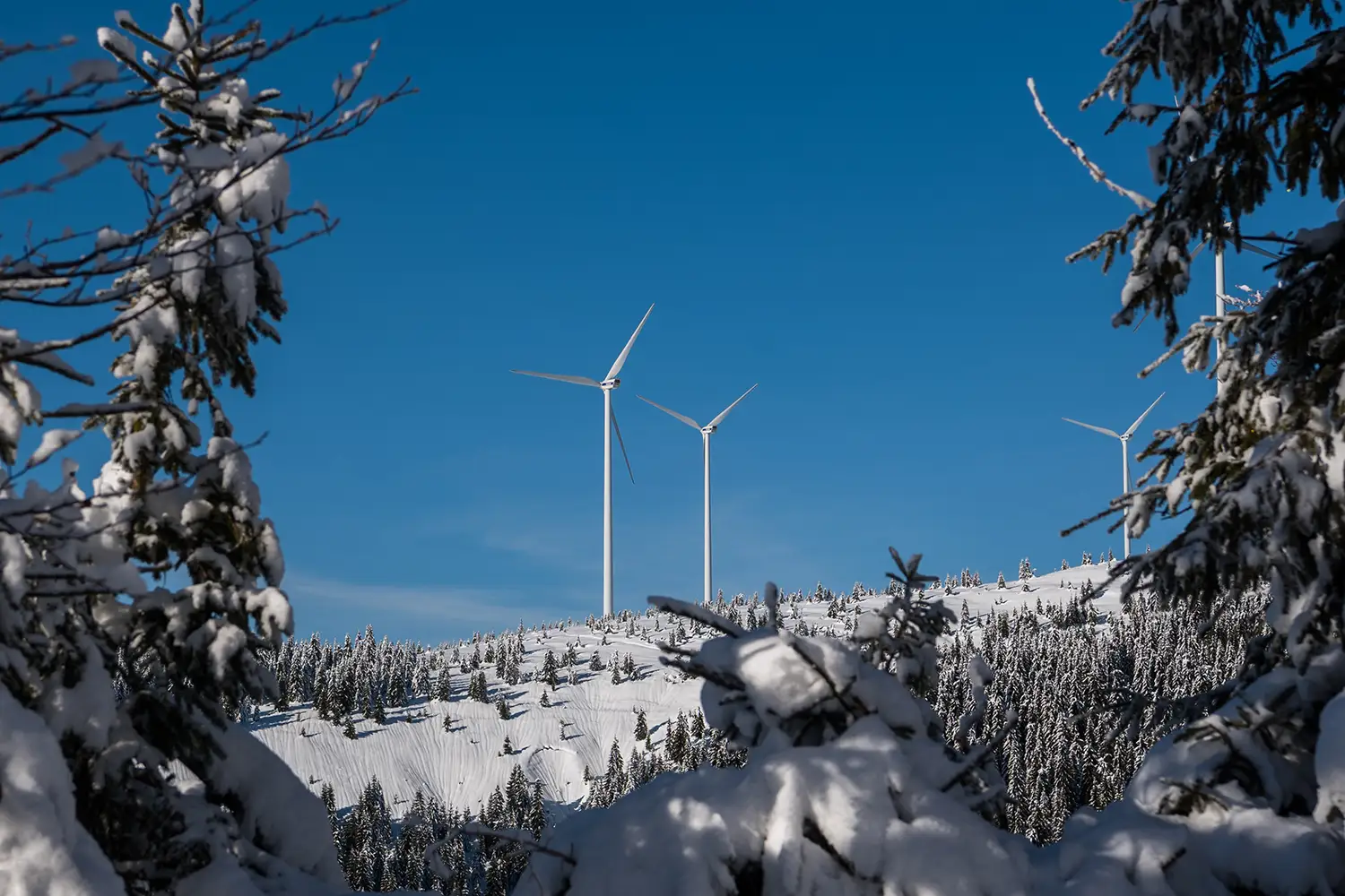 Vârful Cucurbăta Mică