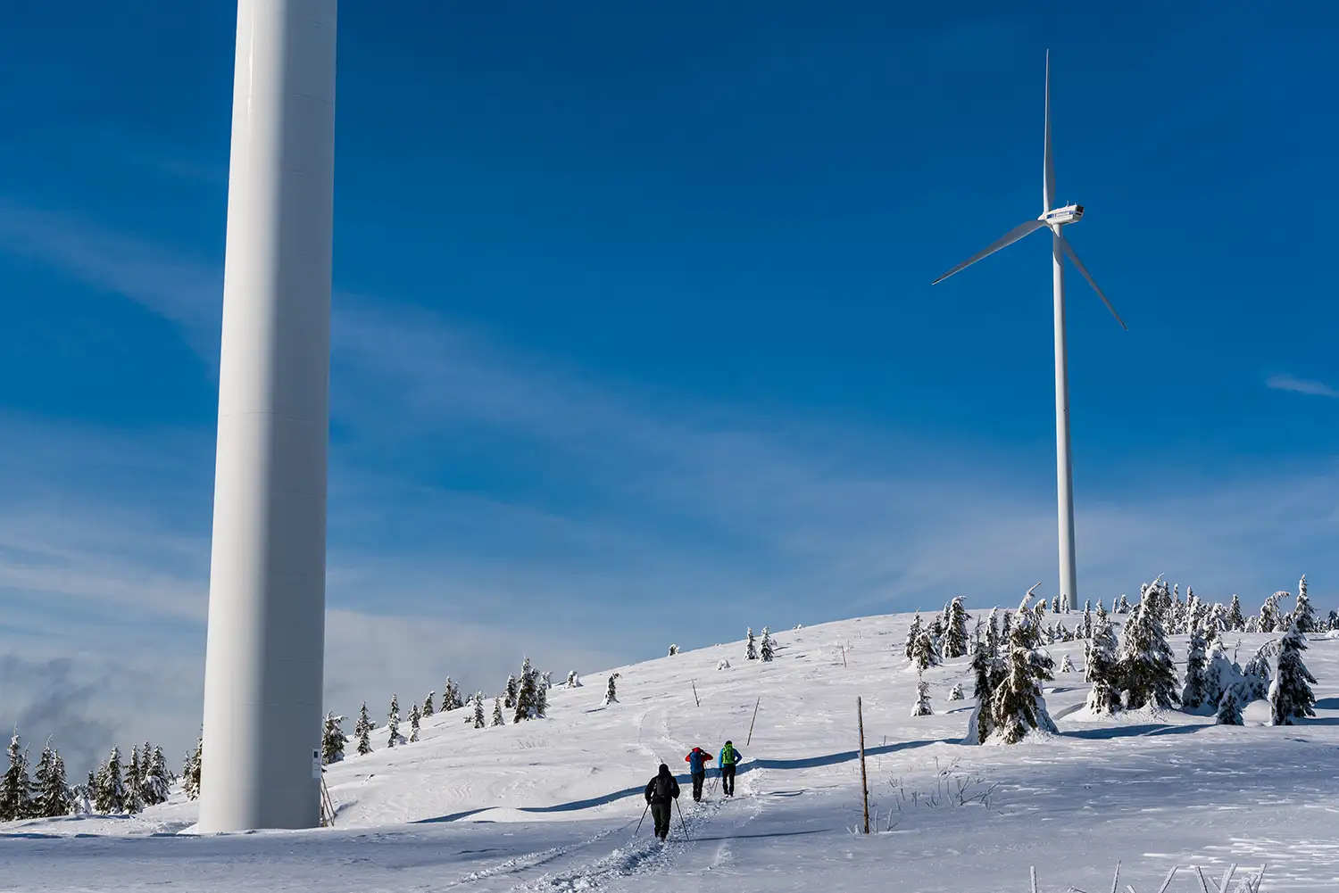 Vârful Cucurbăta Mică